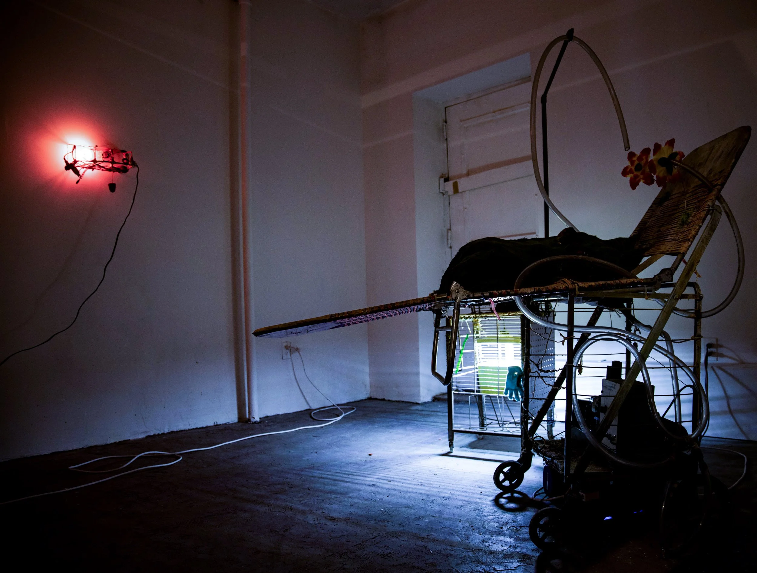 rosalie installation-3.jpg