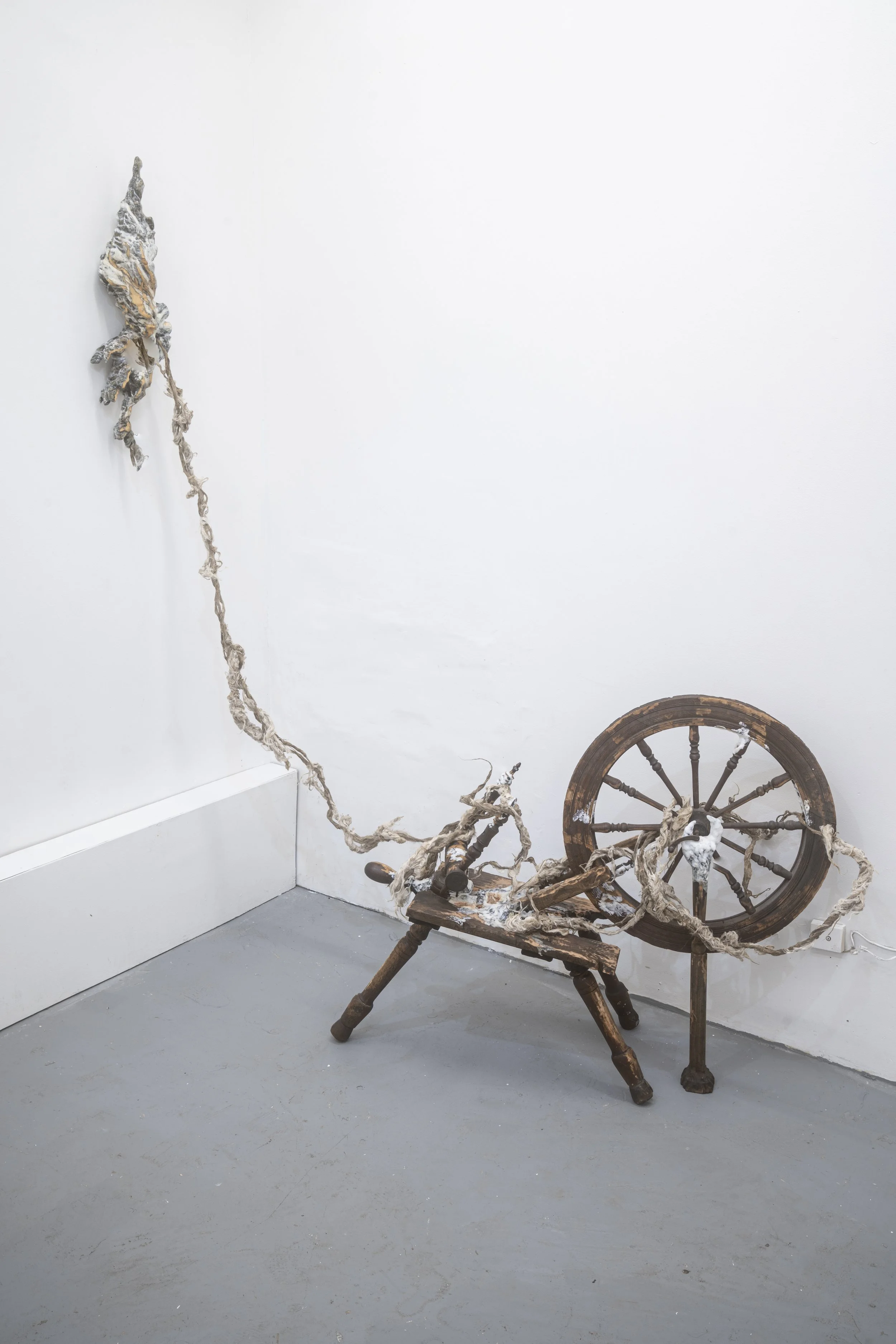 Echo Yan
The Spinner
2025
Raw wool, antique spinning wheel, pine, resin,
epoxy clay
Dimensions variable