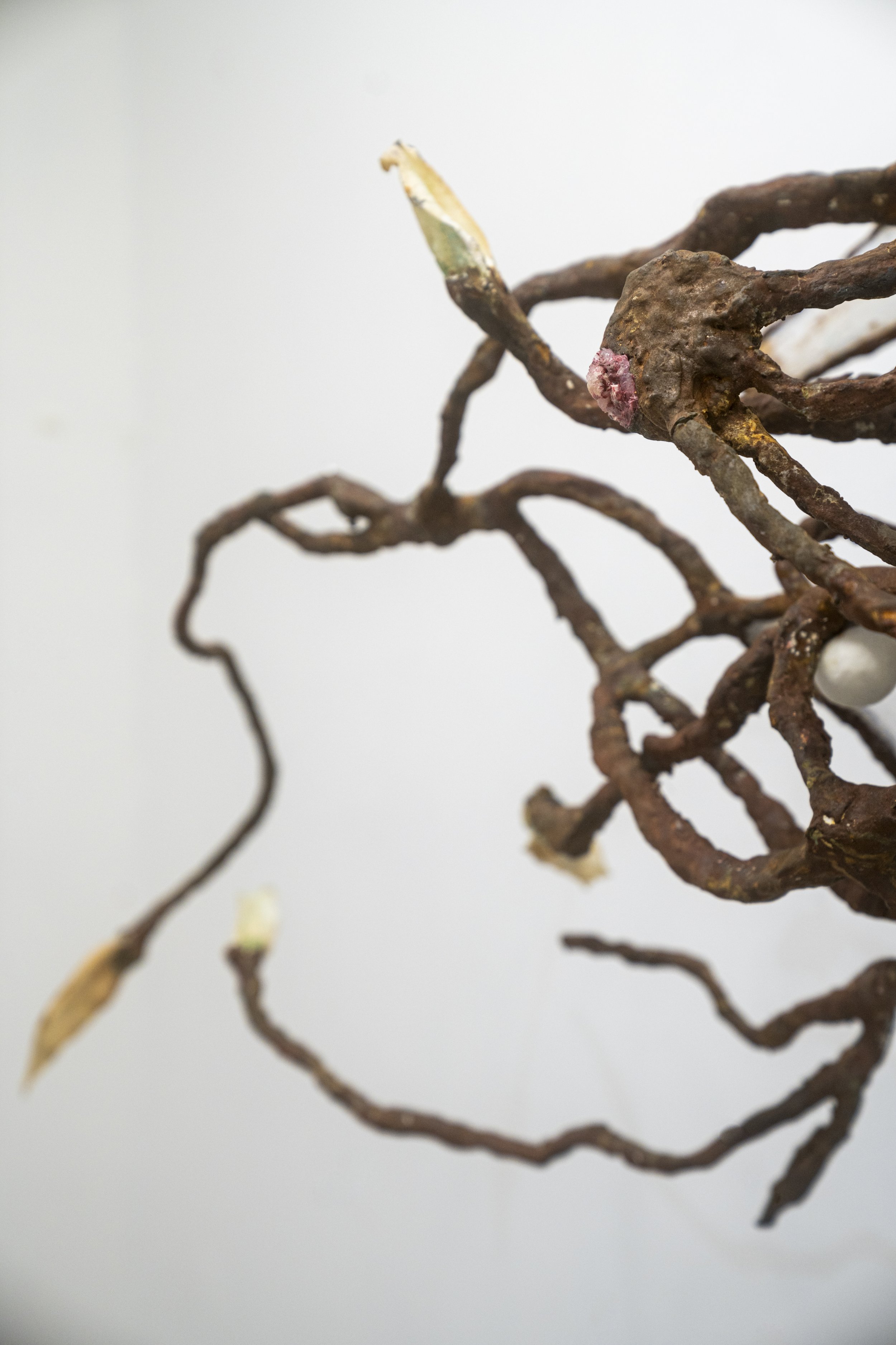 Cass Yao
Anatomy #3 (detail)
2025
Epoxy clay, patina rust, lamb ear, silicone
58 x 28 in.
147.32 x 71.12 cm.