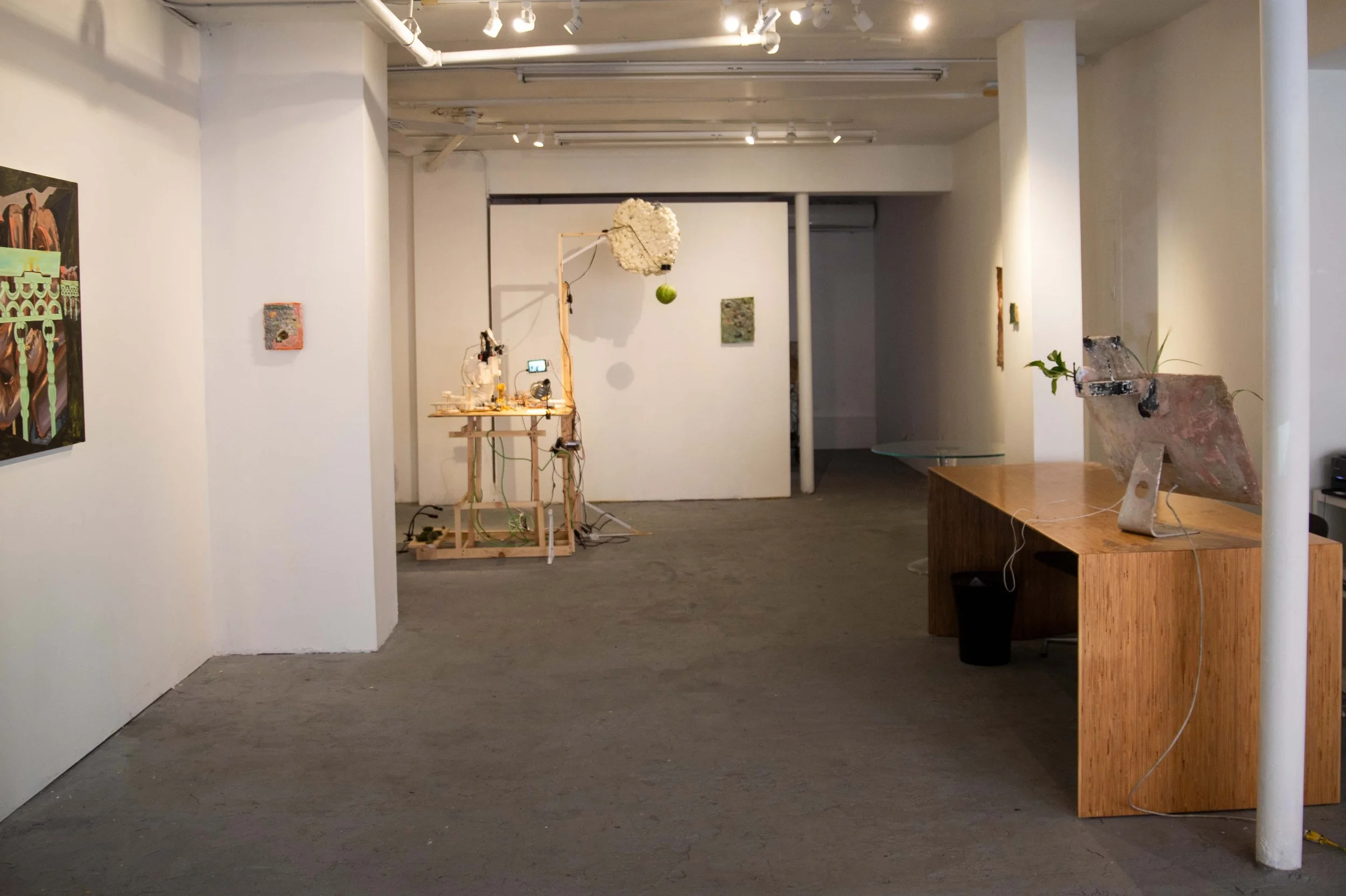 install shot garden 5.jpg