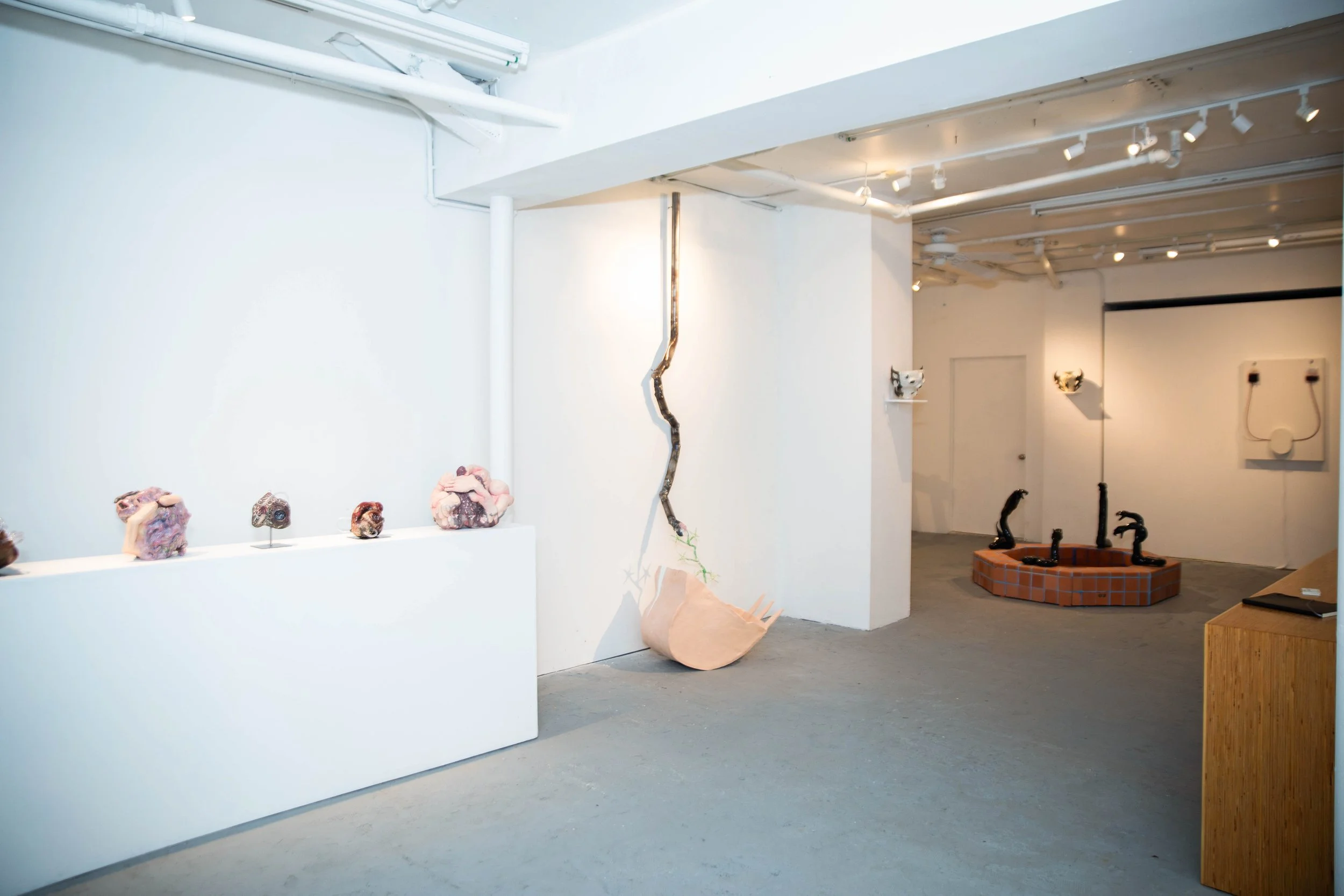 Installation view