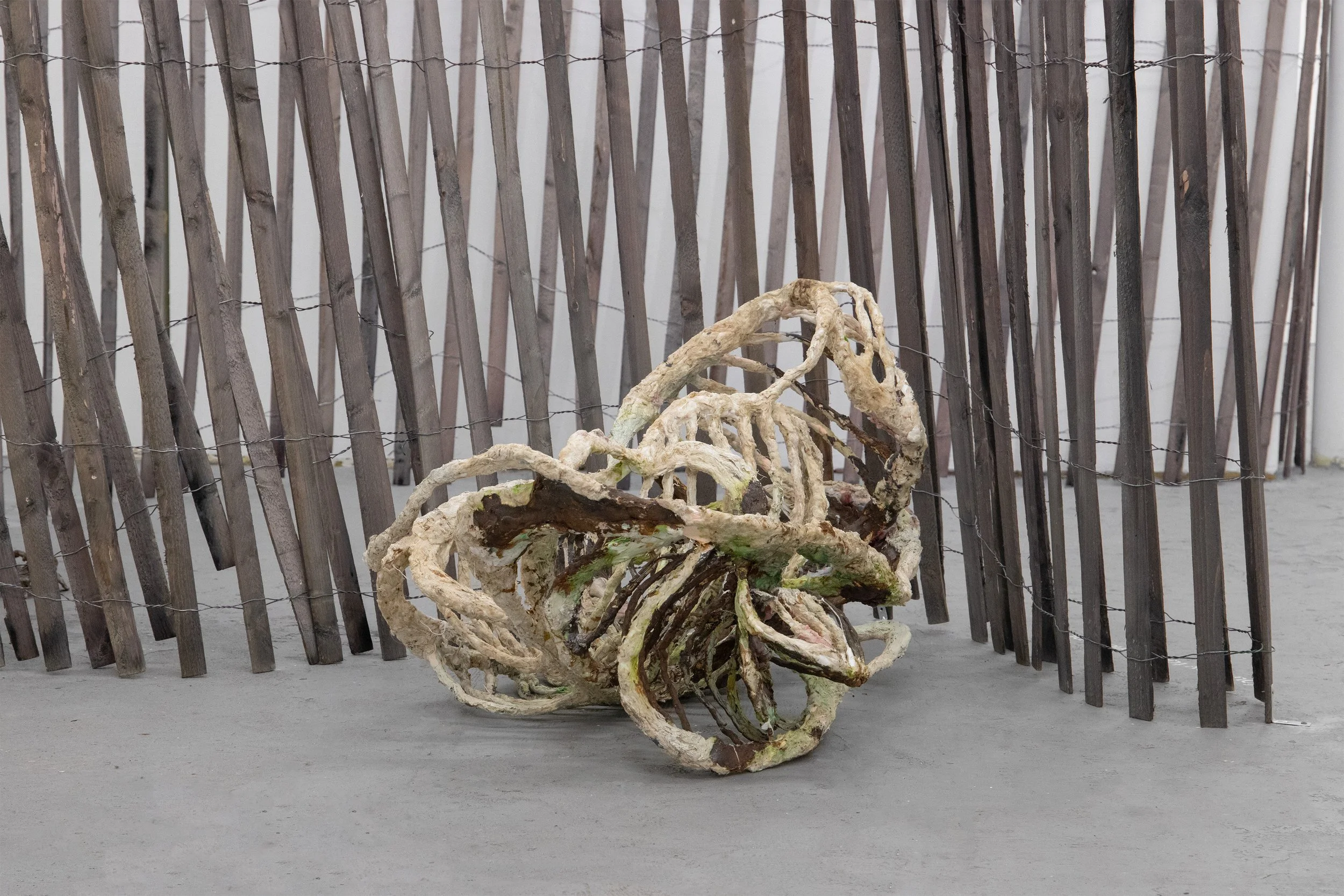 Cass Yao
Plucked, The Engorged Dream; And
Spores They Laid, Birthing Those Mercy,
Brought To Me
2026
Raw silk, silicone, plastic wrap, steel, clamp
28 x 44 x 26 in.
71.12 x 111.76 x 66.04 cm.