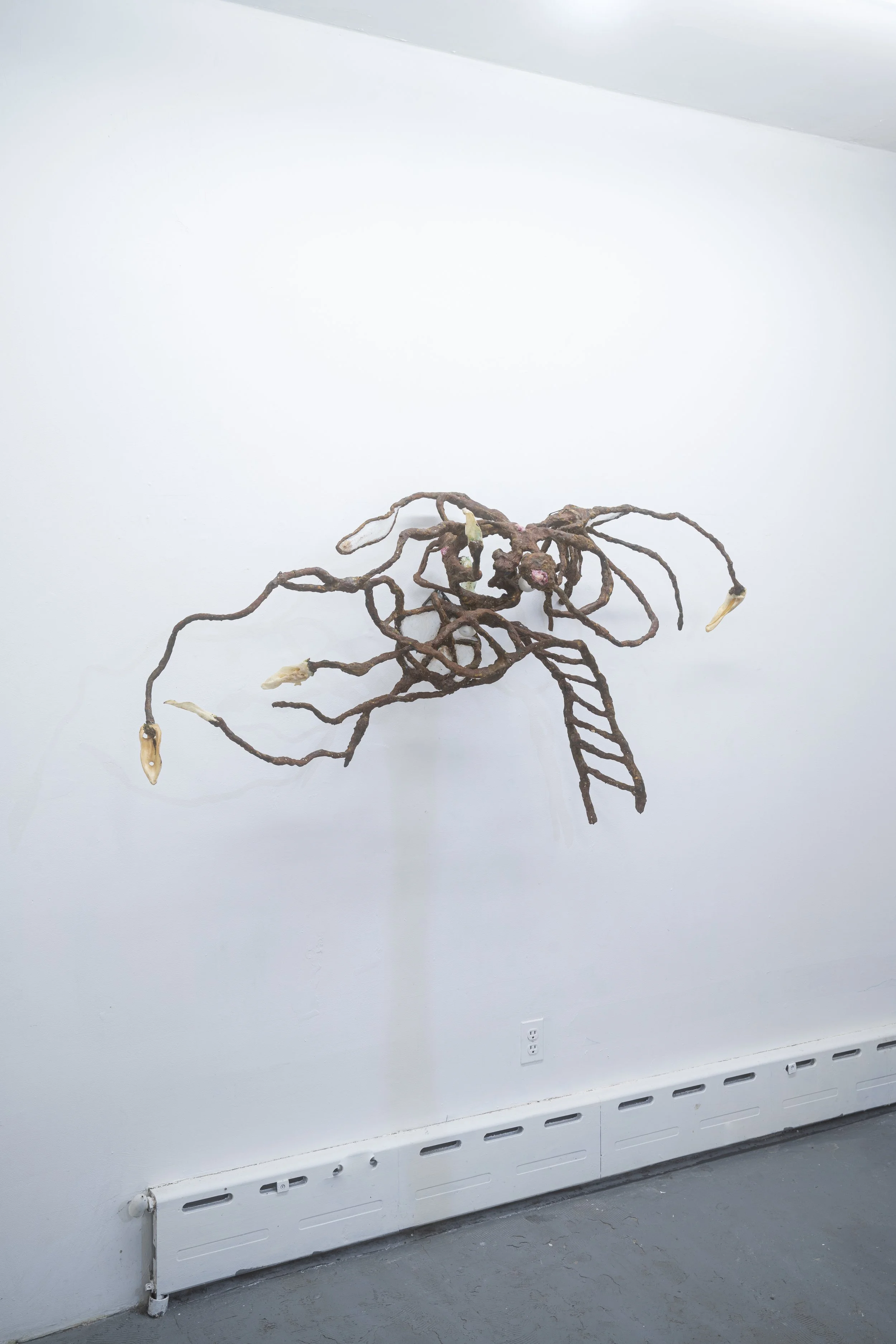 Cass Yao
Anatomy #3 (installation view)
2025
Epoxy clay, patina rust, lamb ear, silicone
58 x 28 in.
147.32 x 71.12 cm.