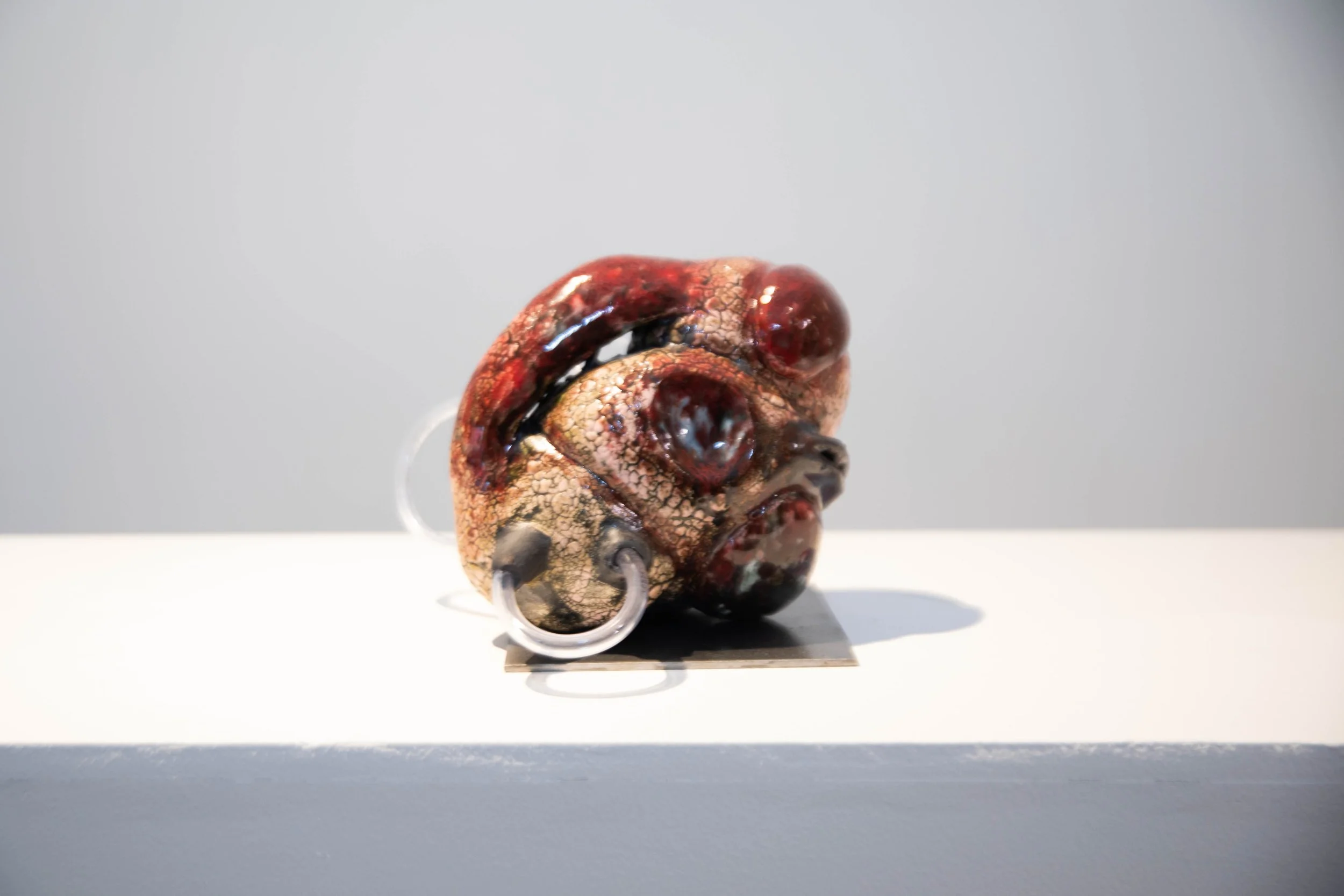 Patrick Bell
Taeniae Coli
2025
Ceramic, glaze, acrylic tubing, steel
6 x 7.5 x 7.5 in
15.24 x 19.05 x 19.05 cm
