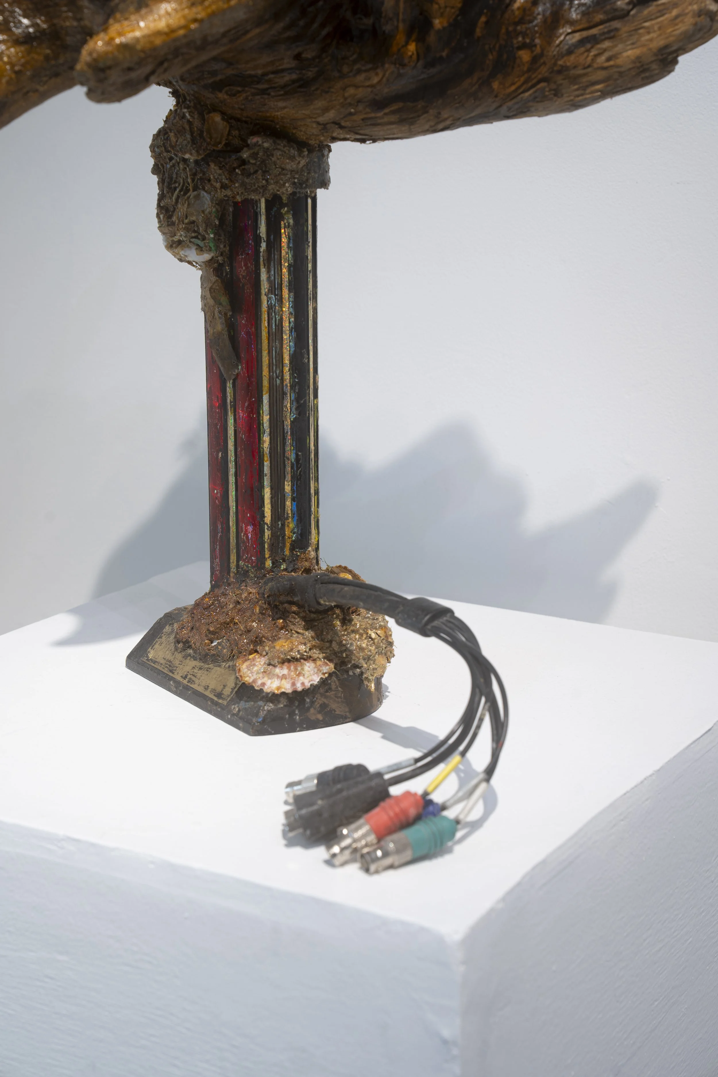 Rosalie Smith
trophy for wife of the future (detail), 2025
Driftwood, cables, trophy base, shells, feathers, debris,
shellac
14 x 19 x 8 inches
35.56 x 48.26 x 20.32 cm