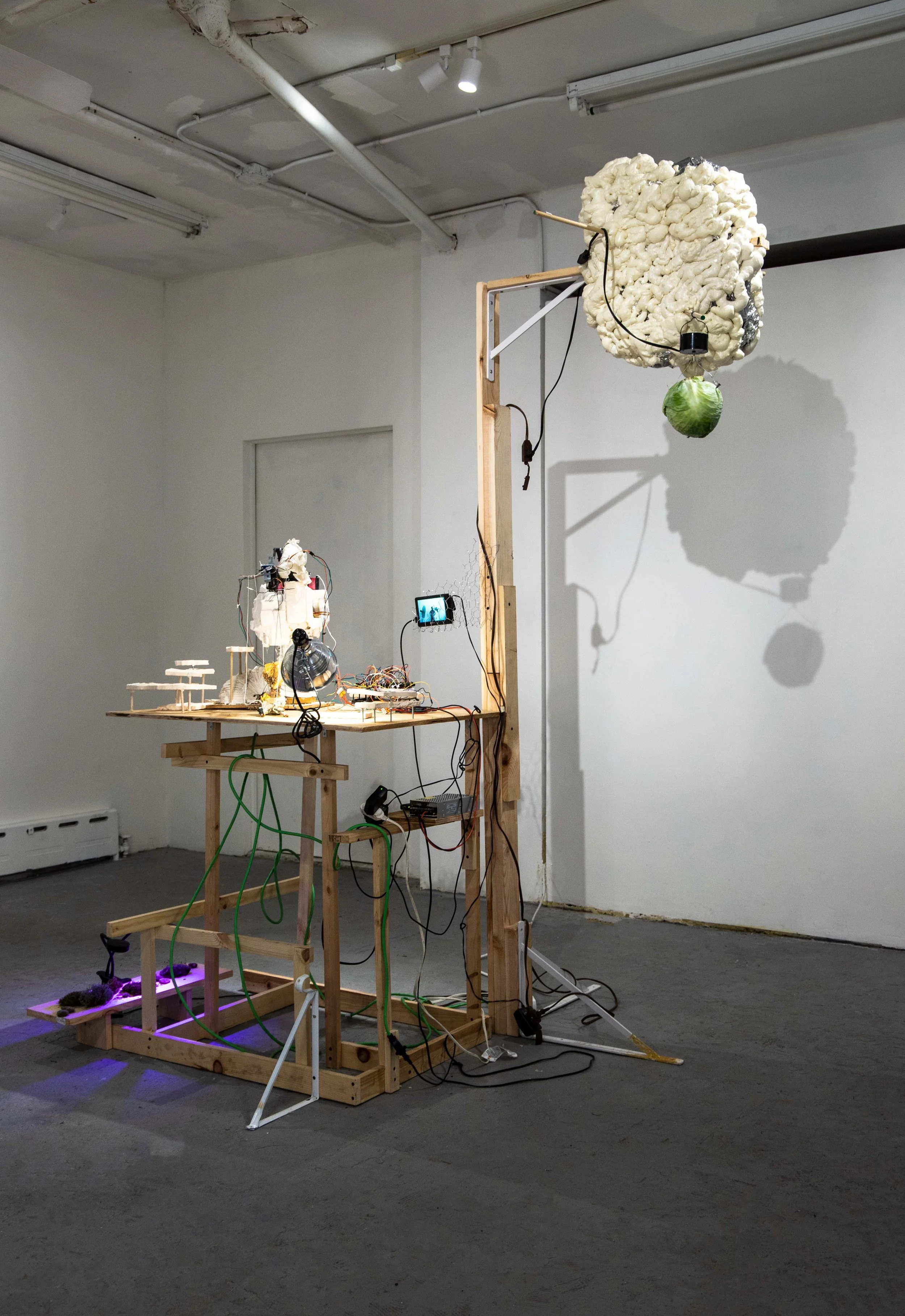 Thomas Tait
Mechano-Vegetal World ([Ru(bipy)3]2+) 
2022
Silicone, wood, found objects, foam, metal, UV grow light, moss, cabbage
94.5 x 71.5 x 48 in.
240 x 182 x 122 cm.