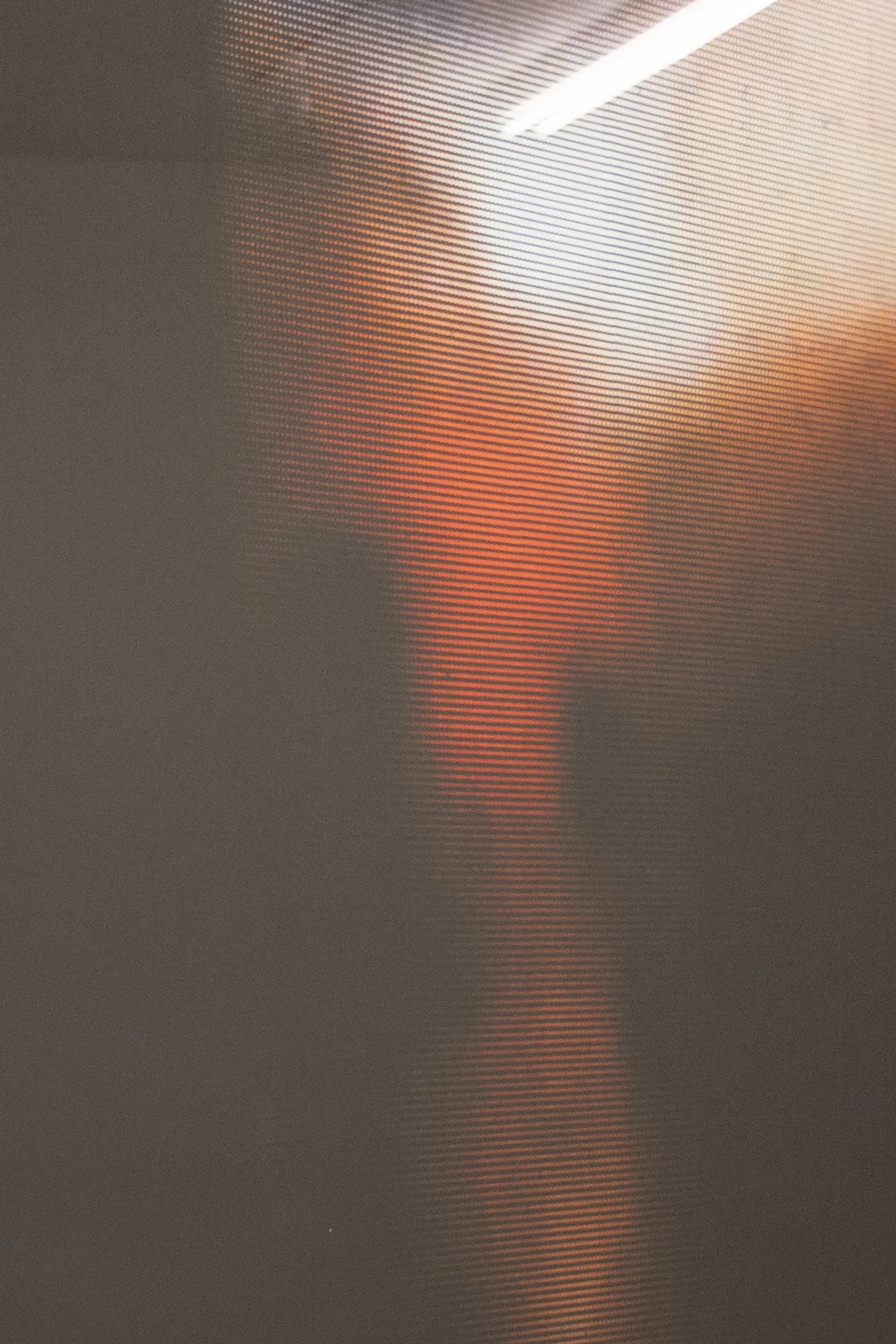 Guy Grabowsky
Bugdom (detail), 2026
Archival pigment print
Edition of 5
55.12 x 45.24 inches
140 x 114.91 cm