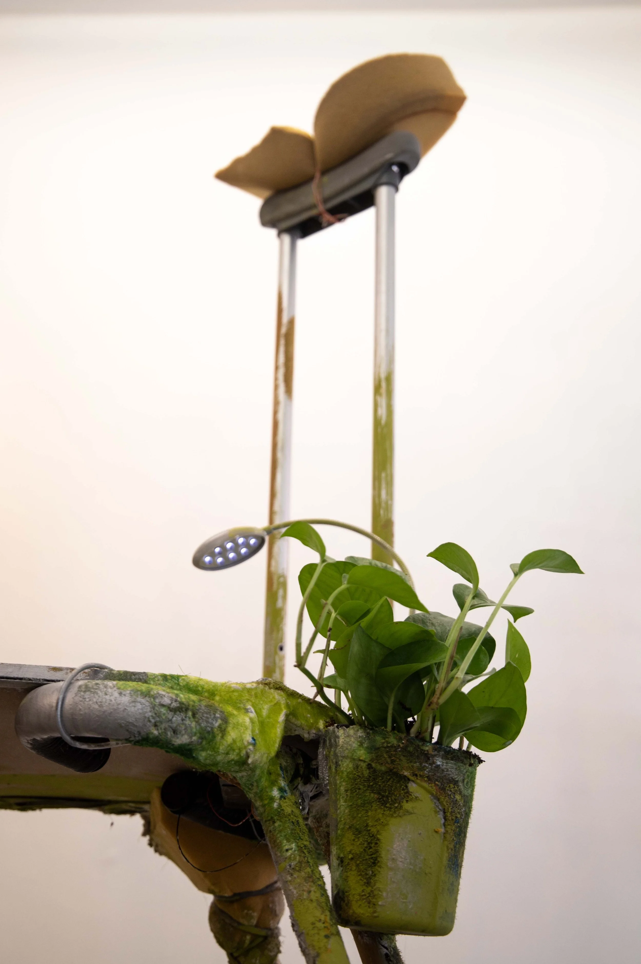 Rosalie Smith
Limping Desk (detail)
2025
Crutch, mannequin leg, artificial succulent, light, power strip, boot, desk organizer, foam, beach sifter, lanyard, charging cables, hooks, artificial grass, plaster, debris, PVA glue 
62 x 30 x 20 in.
157.5 x