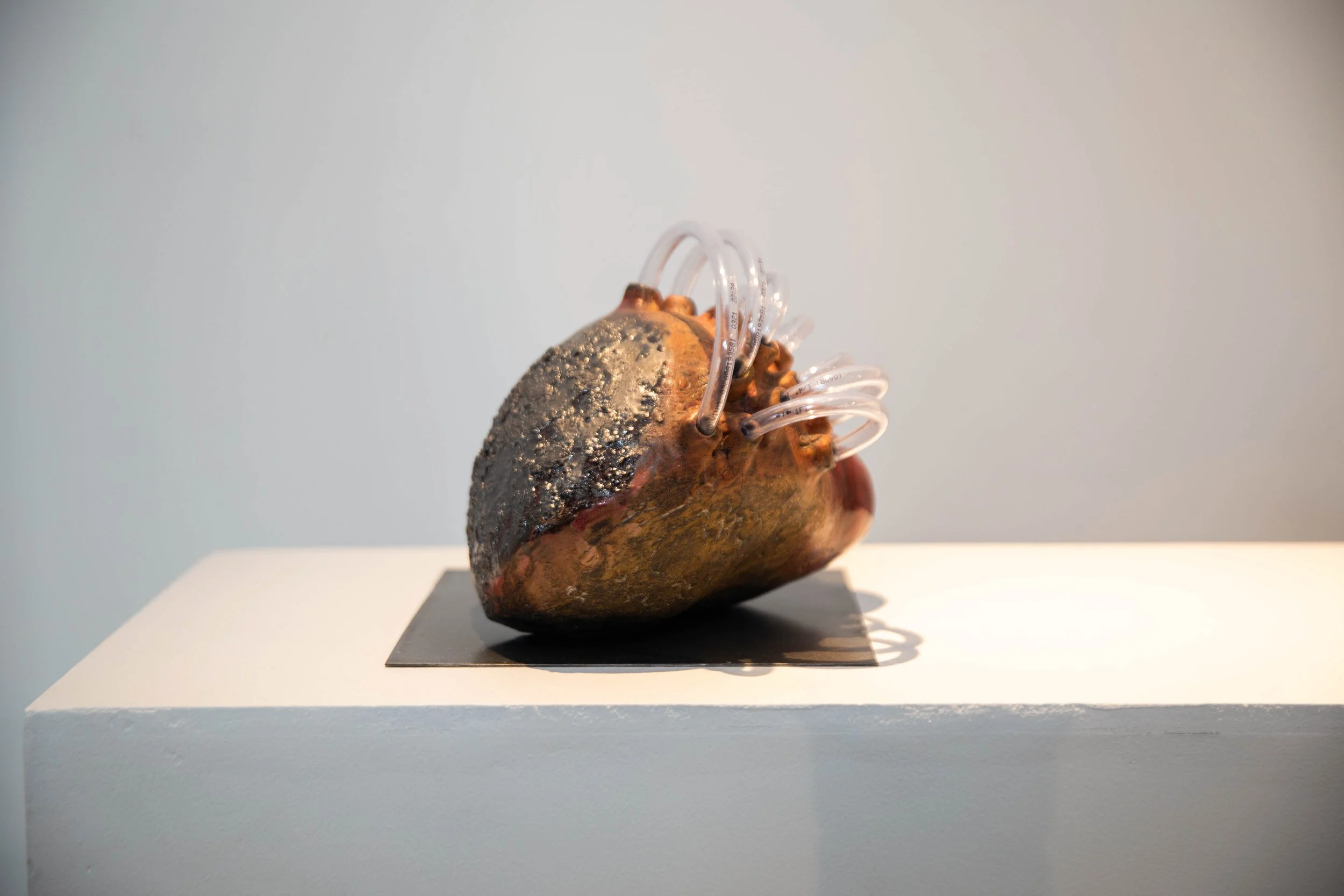 Patrick Bell
Perfusion
2025 
Ceramic, glaze, acrylic tubing, steel 
7.5 x 9 x 8.5 in
19.05 x 22.86 x 21.59 cm