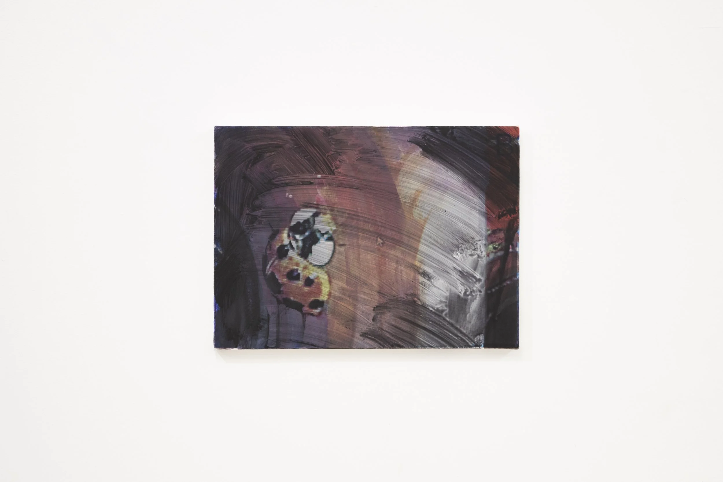 Parker Conrad  
Ladybug in the System, 2026
Oil and silkscreen on canvas
11 x 15 inches
27.94 x 38.1 cm