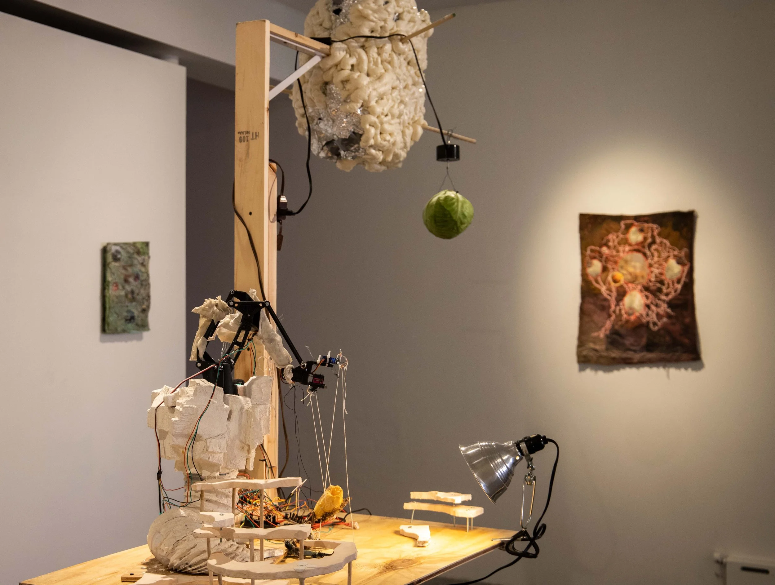 install shot garden 3.jpg