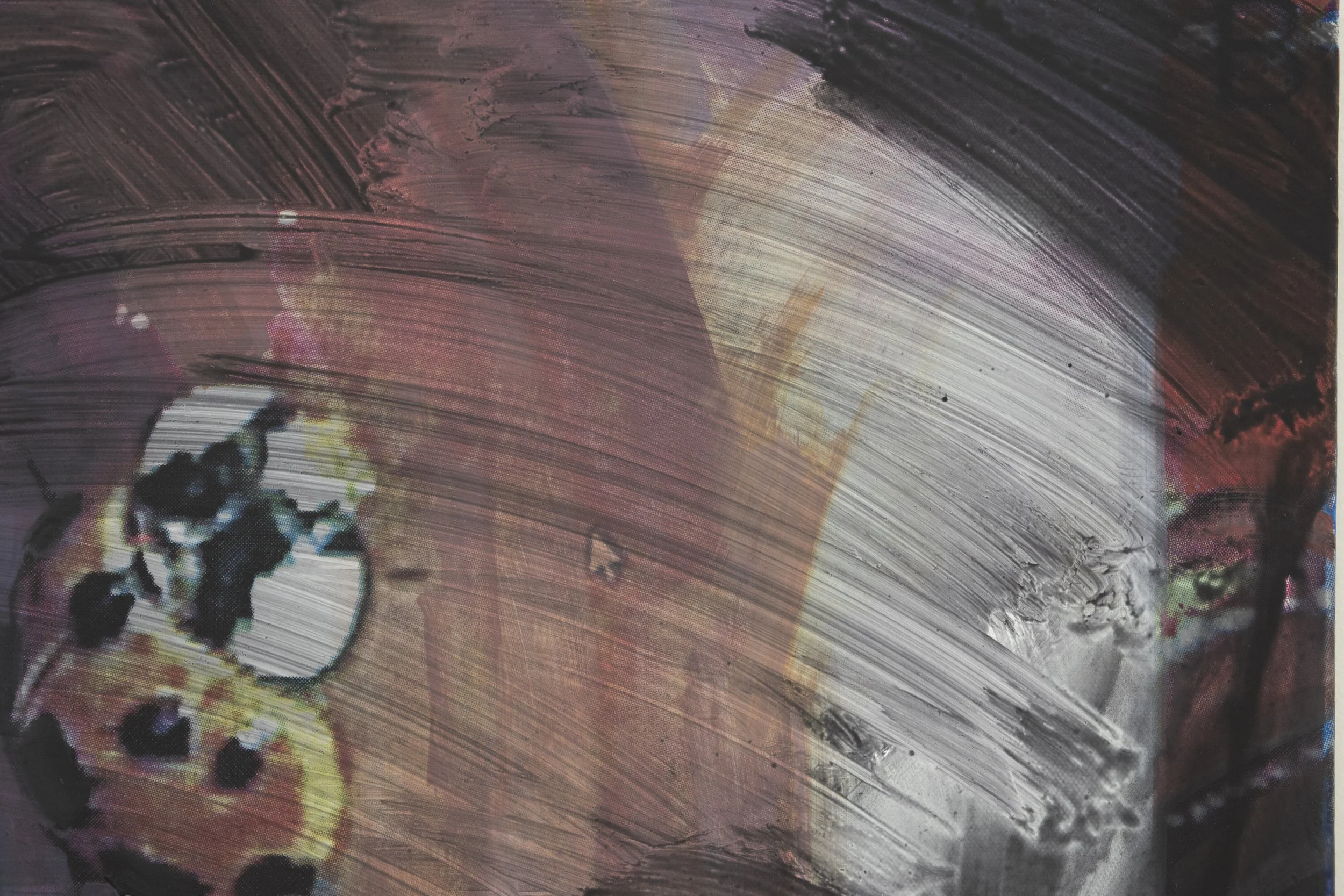 Parker Conrad  
Ladybug in the System (detail), 2026
Oil and silkscreen on canvas
11 x 15 inches
27.94 x 38.1 cm