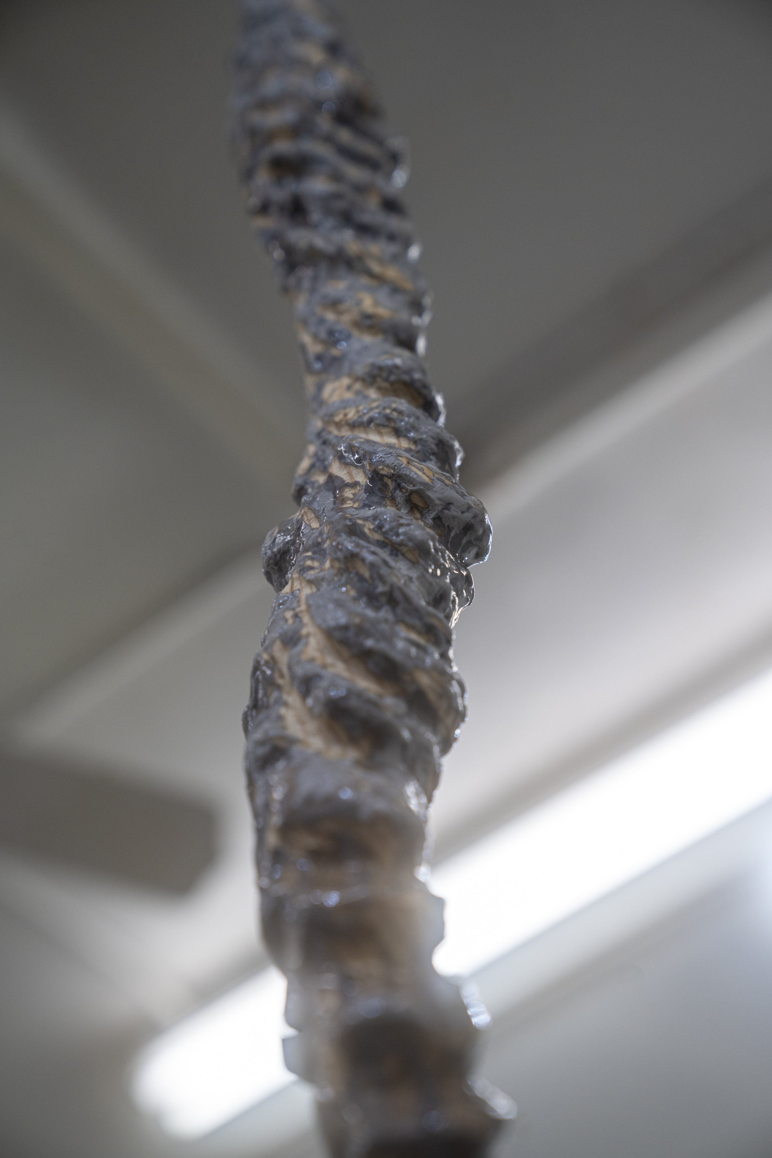 Echo Yan
Binding (detail)
2025
Pine, resin, brass inkwell, epoxy clay, papier-mâché, sand
Dimensions variable