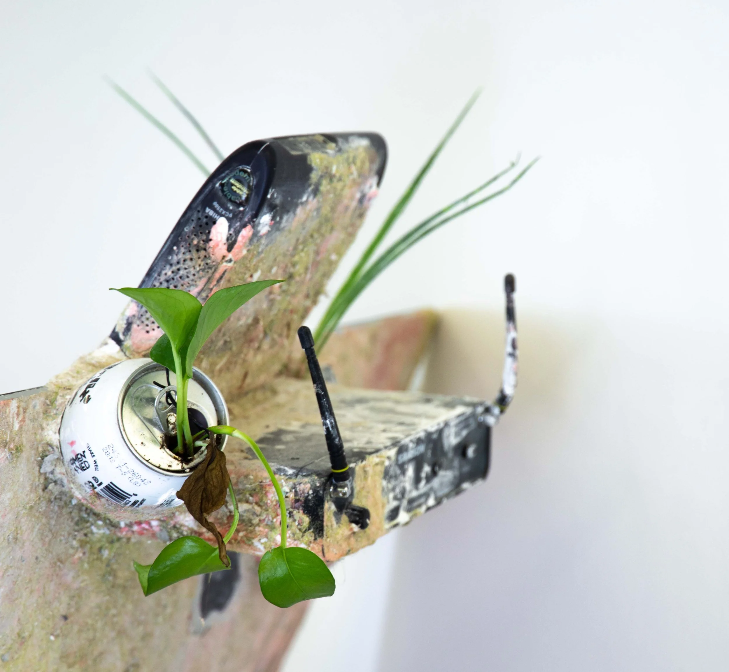 Rosalie Smith
Office Pigeon (detail)
2025
iMac, keyboard, video, buzzball, wifi router, debris, keyboard, mouse
26 x 26 x 9 in.
66 x 66 x 22.86 cm.