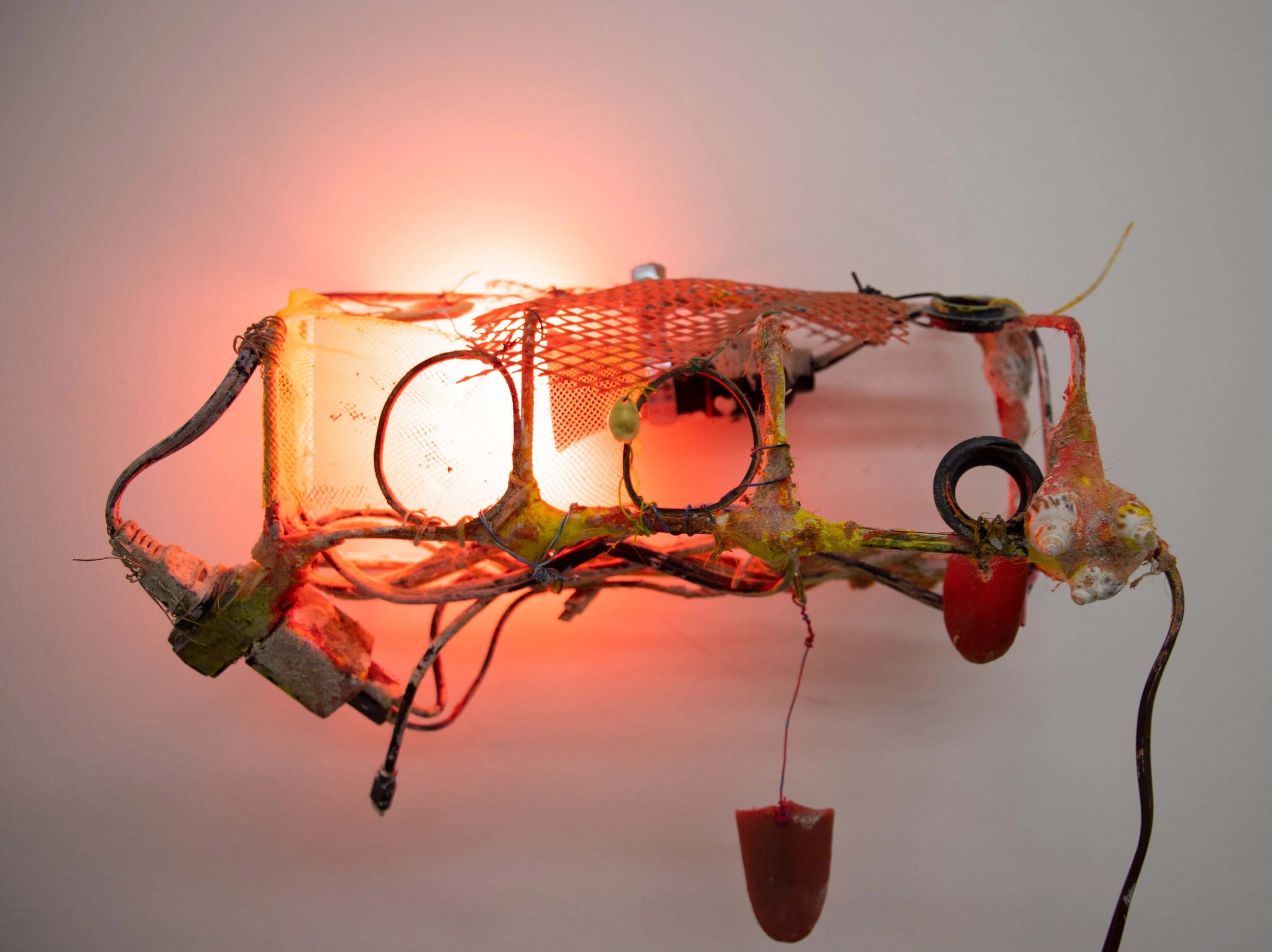 Rosalie Smith
Lanternfly, a Softly Vampiric Source
2025
Artificial tongues, shells, beach debris, nightlight, lightbulb, charging cables, extension cord, letter organizer, fruit mesh, lamp wiring, plaster bandages, flocking powder, dust from artist’s