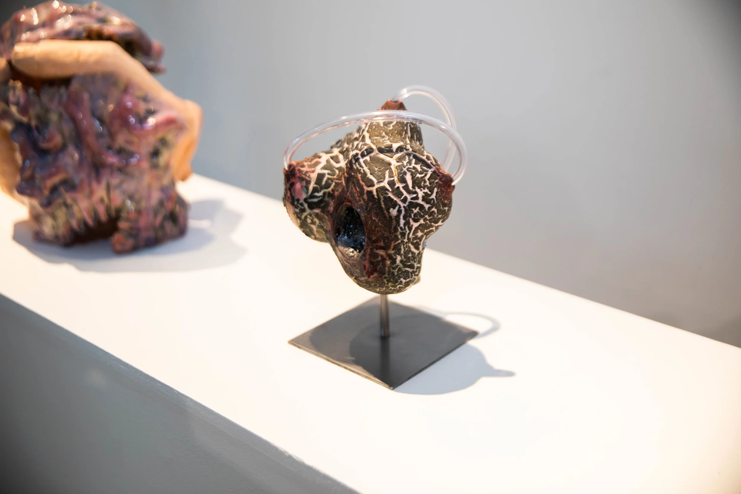 Patrick Bell
Ureter
2025
Ceramic, glaze, acrylic tubing, steel
9 x 6 x 5.5 in
22.86 x 15.24 x 13.97 cm
