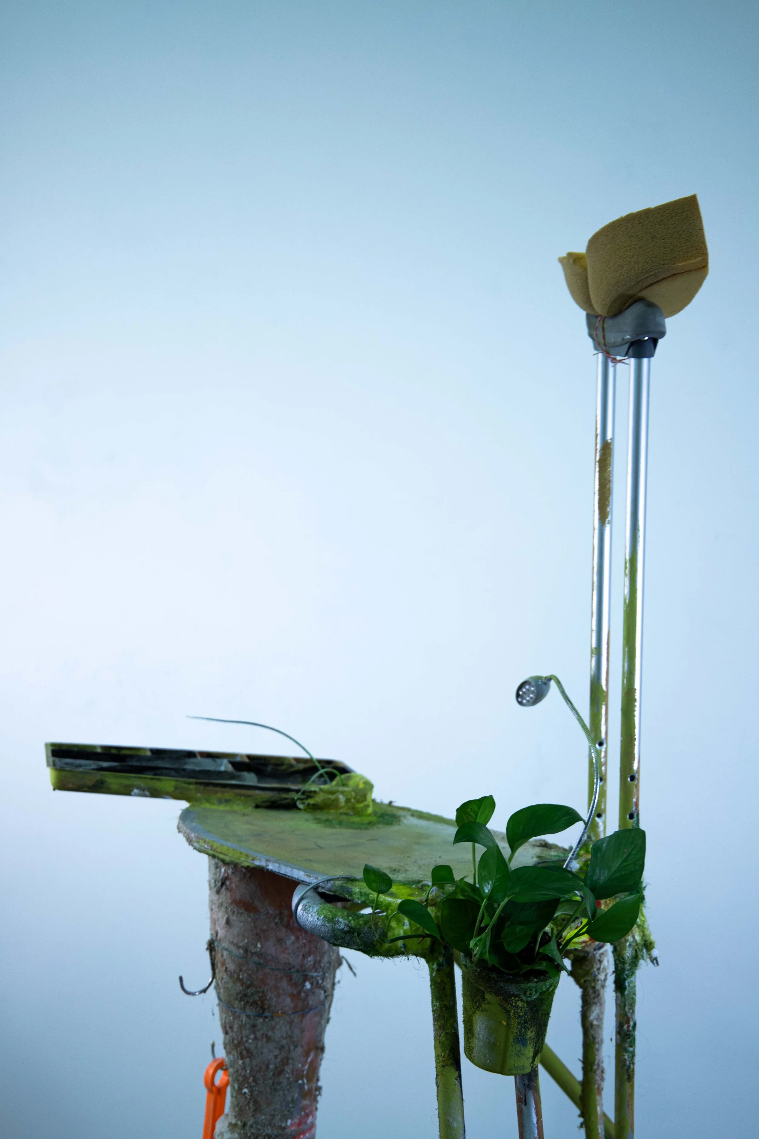 Rosalie Smith
Limping Desk (detail)
2025
Crutch, mannequin leg, artificial succulent, light, power strip, boot, desk organizer, foam, beach sifter, lanyard, charging cables, hooks, artificial grass, plaster, debris, PVA glue 
62 x 30 x 20 in.
157.5 x