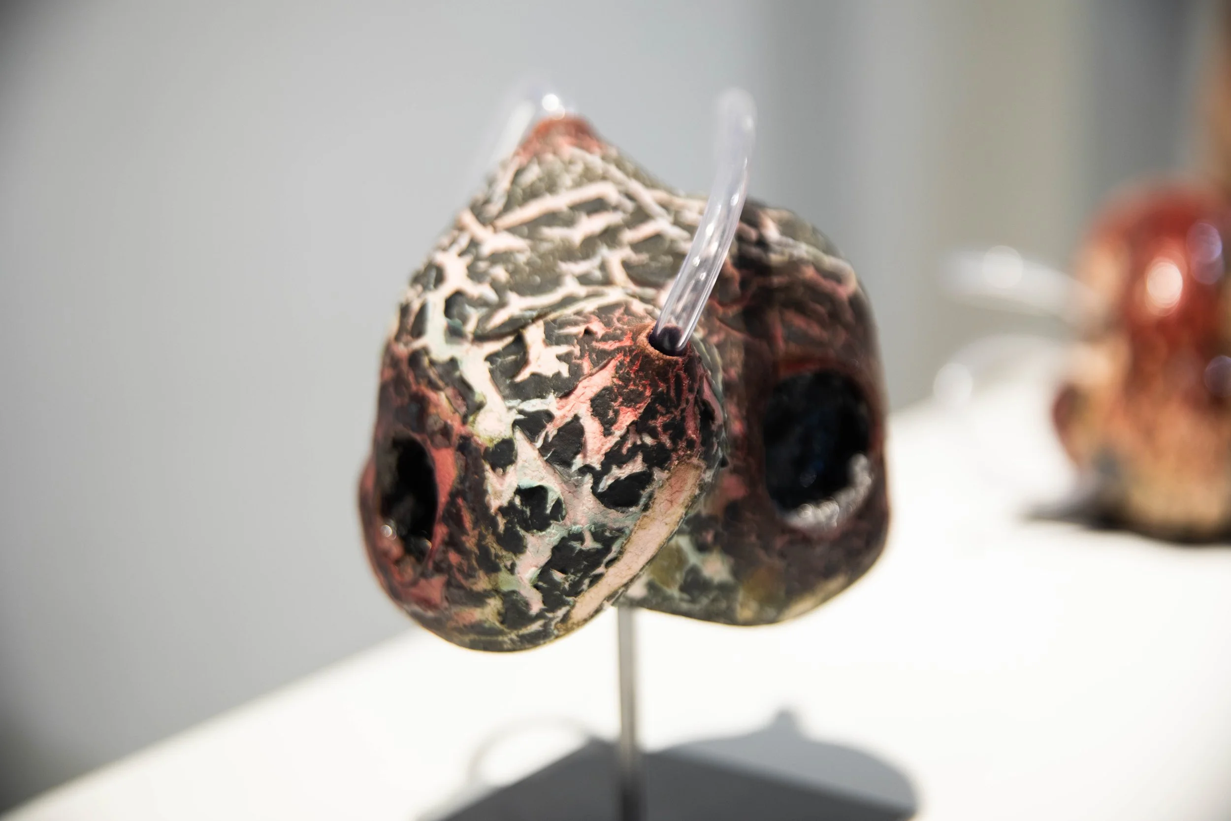 Patrick Bell
Ureter (detail)
2025
Ceramic, glaze, acrylic tubing, steel
9 x 6 x 5.5 in
22.86 x 15.24 x 13.97 cm
