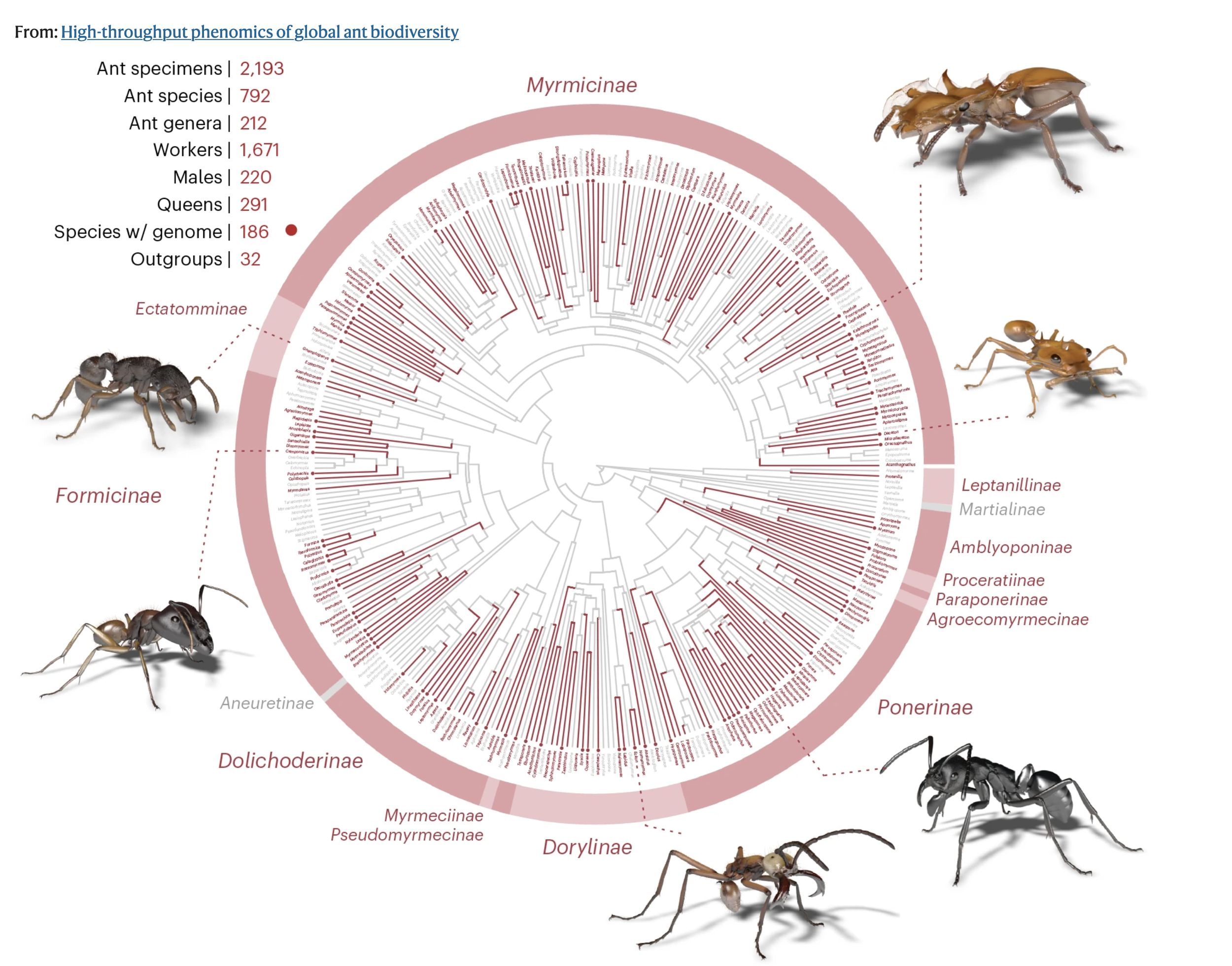 Screenshot 2026-03-20 at 1.05.59 PM.png