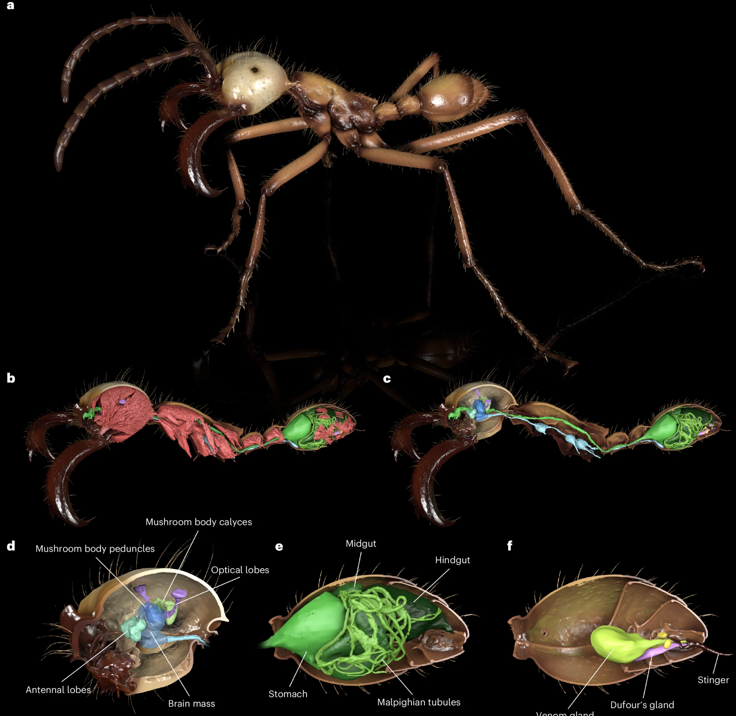 Screenshot 2026-03-20 at 1.06.51 PM.png