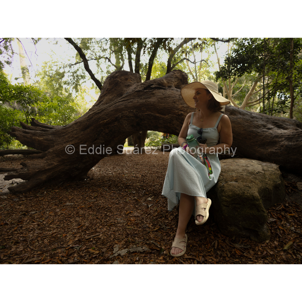 image_original_eea36c44257904e46fd6ebe79392fe8a.png