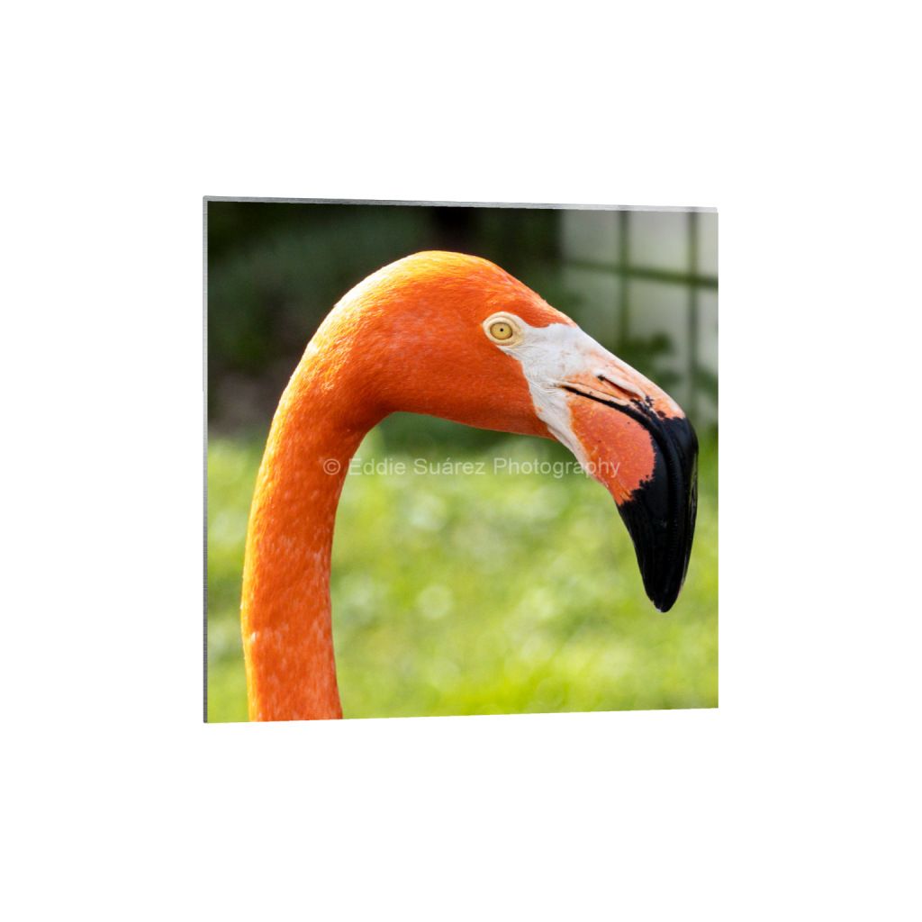 ptq_13_0_0_227_2067_2067_0_false_ffffff_0_0_eea36c44257904e46fd6ebe79392fe8a.png