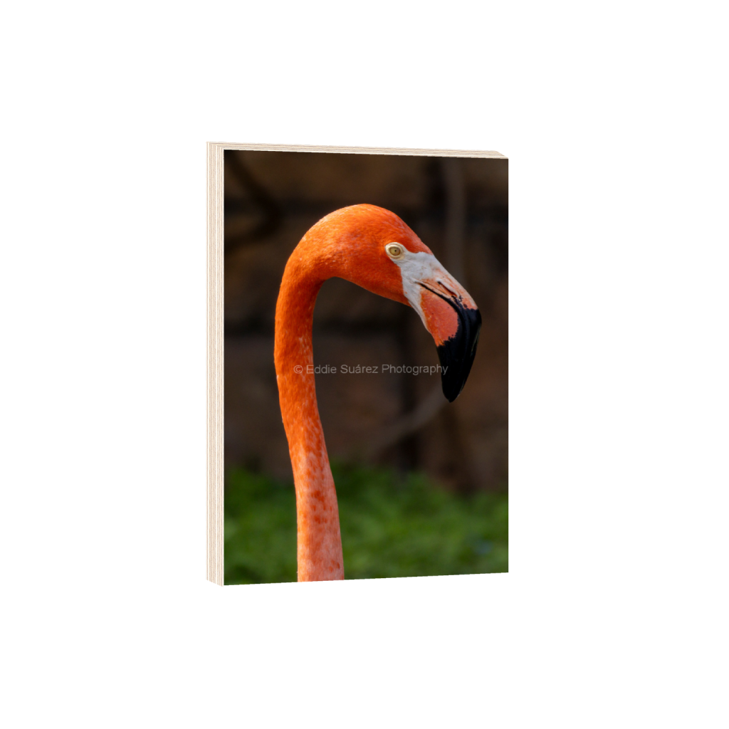 ptq_29_3_0_0_3174_4761_0_false_ffffff_0_0_eea36c44257904e46fd6ebe79392fe8a.png