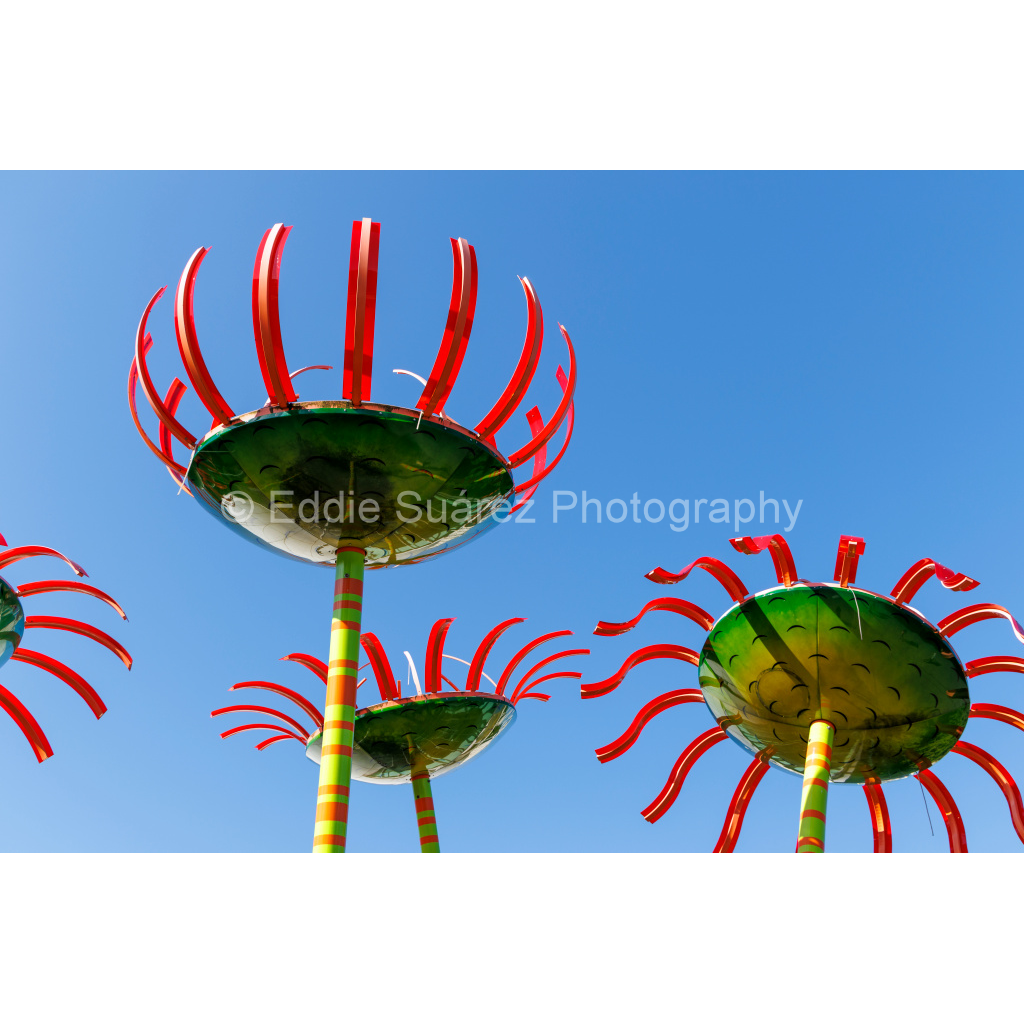 image_original_eea36c44257904e46fd6ebe79392fe8a.png