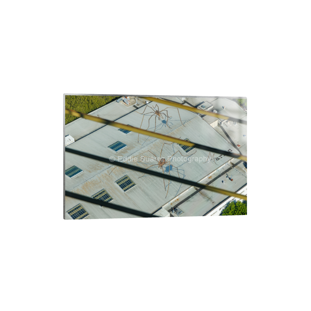 ptq_13_3_0_0_6000_4000_0_false_ffffff_0_0_eea36c44257904e46fd6ebe79392fe8a.png