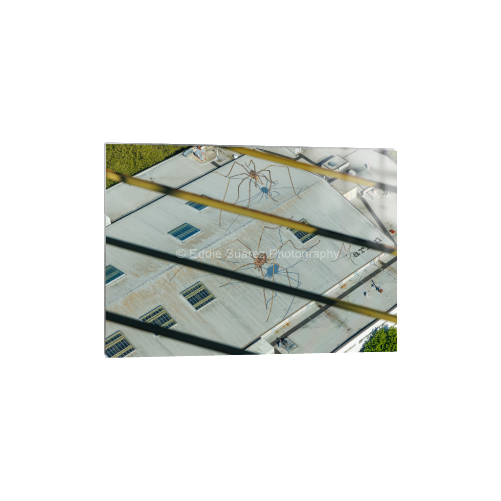 ptq_13_7_200_0_5600_4000_0_false_ffffff_0_0_eea36c44257904e46fd6ebe79392fe8a.png