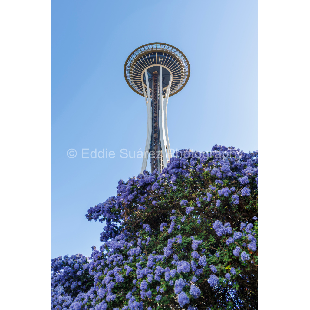 image_original_eea36c44257904e46fd6ebe79392fe8a.png