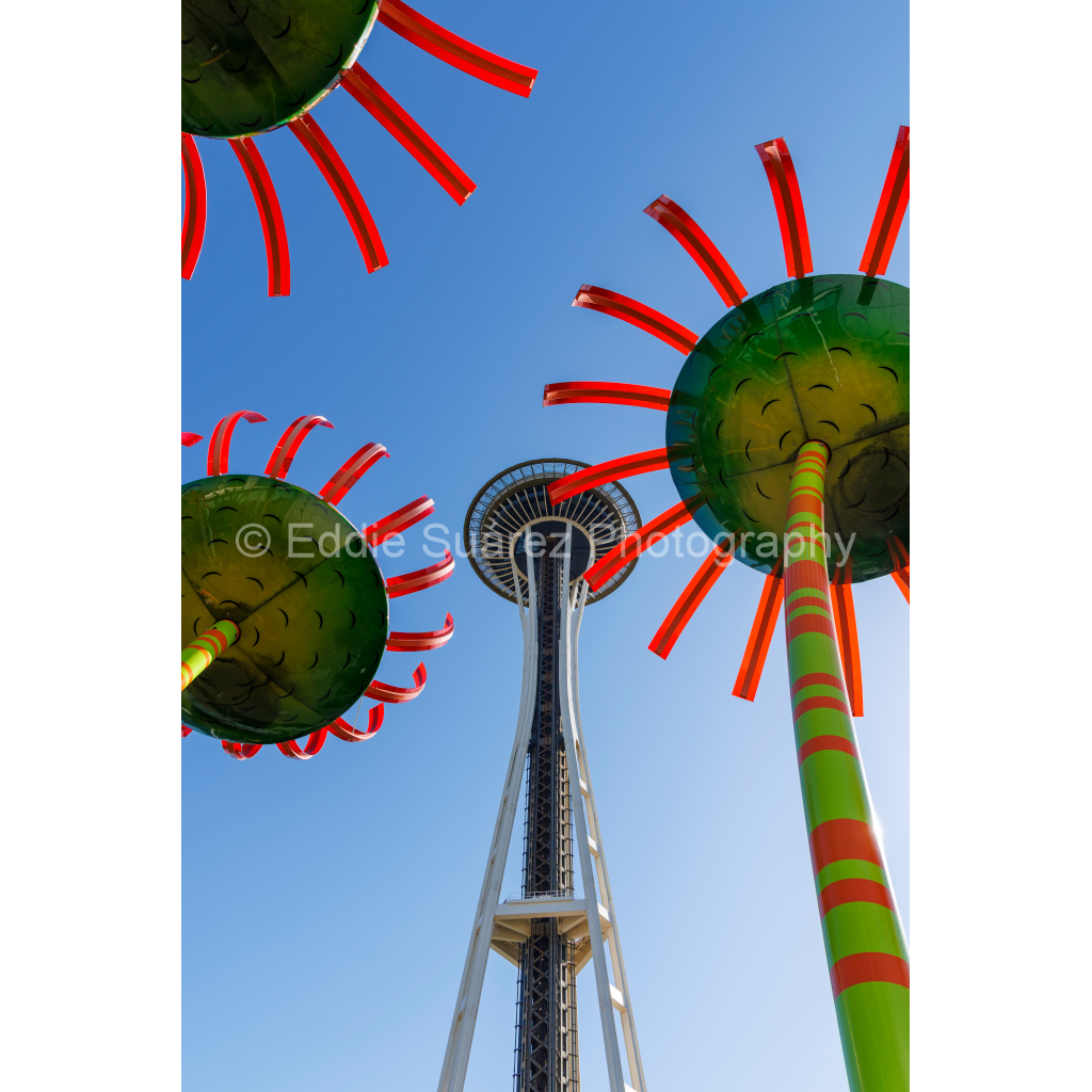 image_original_eea36c44257904e46fd6ebe79392fe8a.png