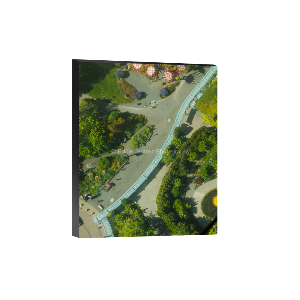 ptq_32_6_0_0_4000_5000_0_false_ffffff_0_0_eea36c44257904e46fd6ebe79392fe8a.png