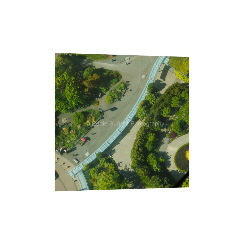 ptq_1_0_0_1000_4000_4000_0_false_ffffff_0_0_eea36c44257904e46fd6ebe79392fe8a.png