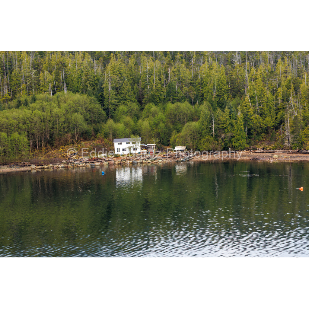 image_original_eea36c44257904e46fd6ebe79392fe8a.png