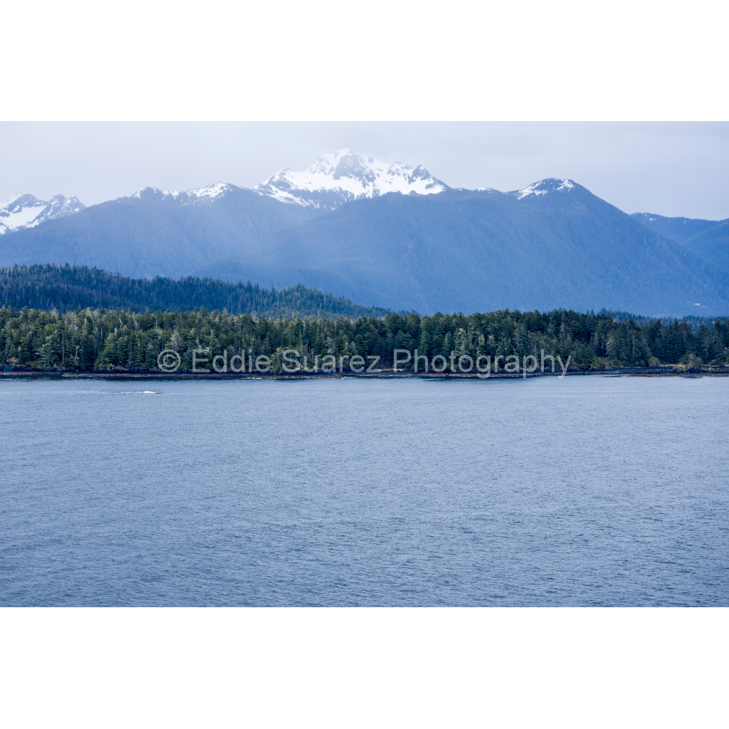 image_original_eea36c44257904e46fd6ebe79392fe8a.png