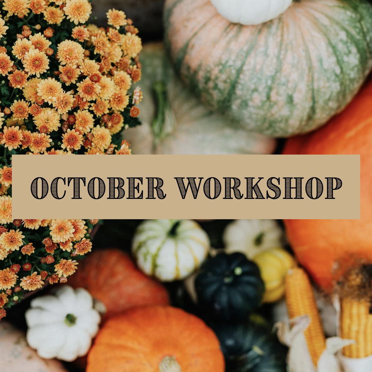 October Workshop - Pumpkins + Flowers