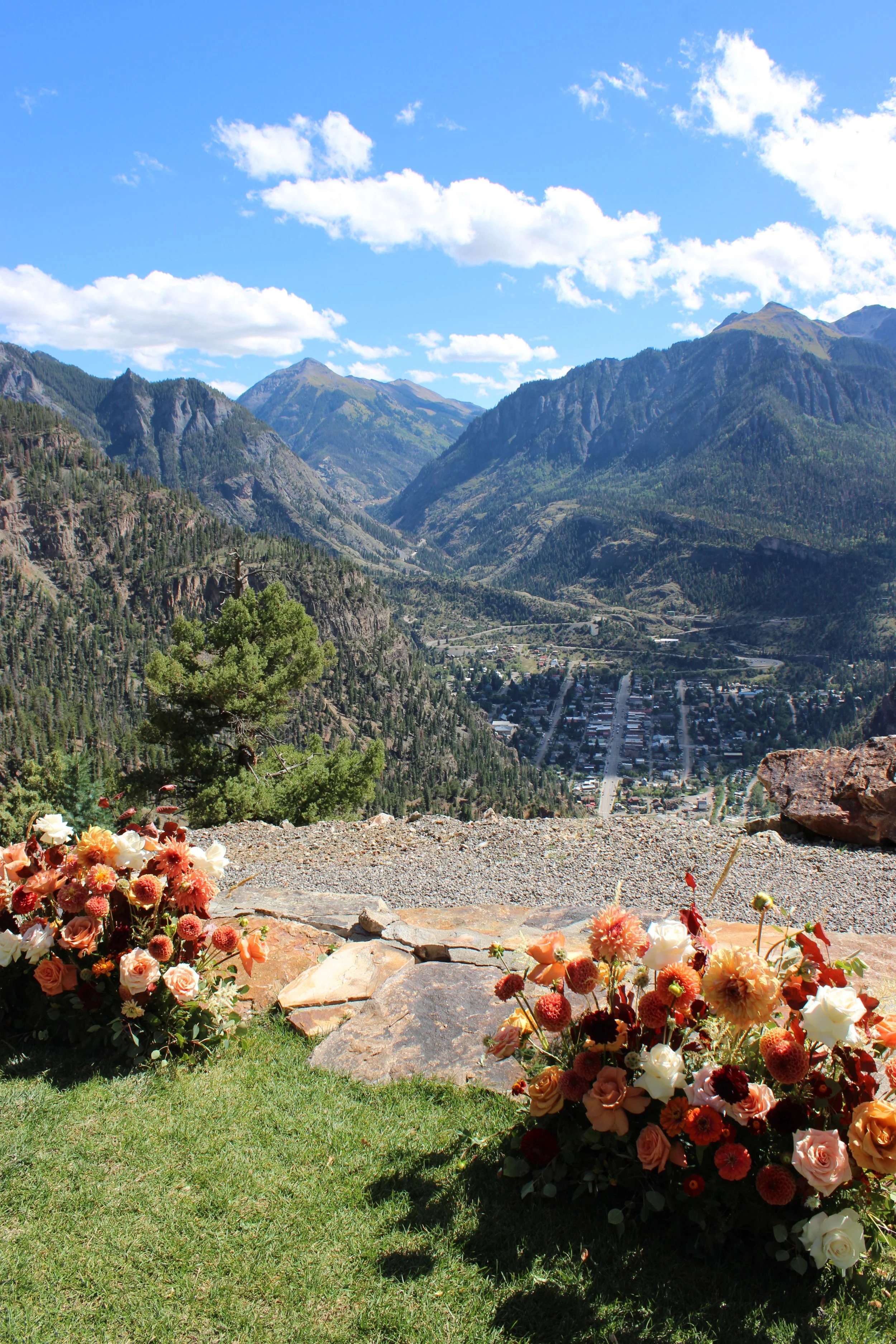Colorful flowers in a garden with mountains and blue sky in the background