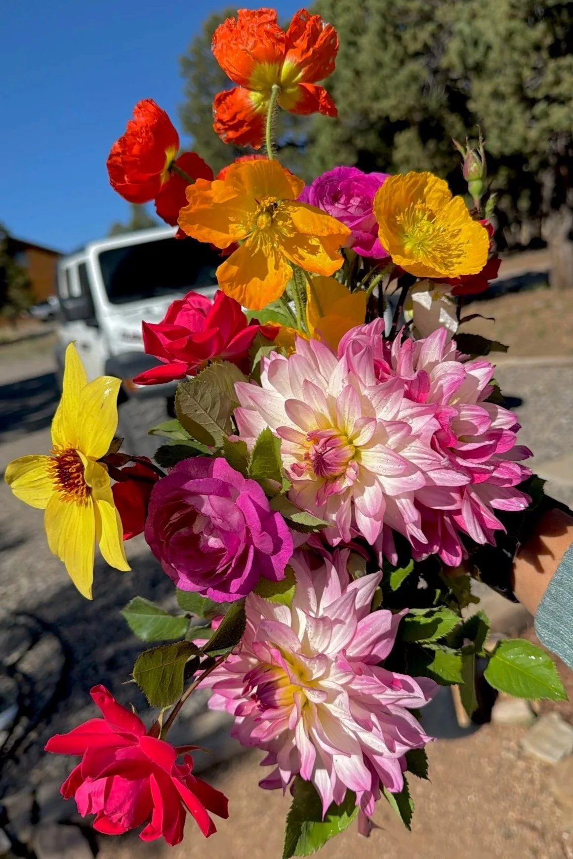Flower Delivery in Telluride, Ridgway, Ouray, Colorado.