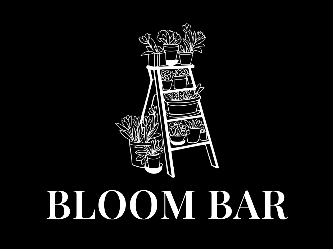 San Juan Blooms | Ridgway Flower Shop - Bloom Bar