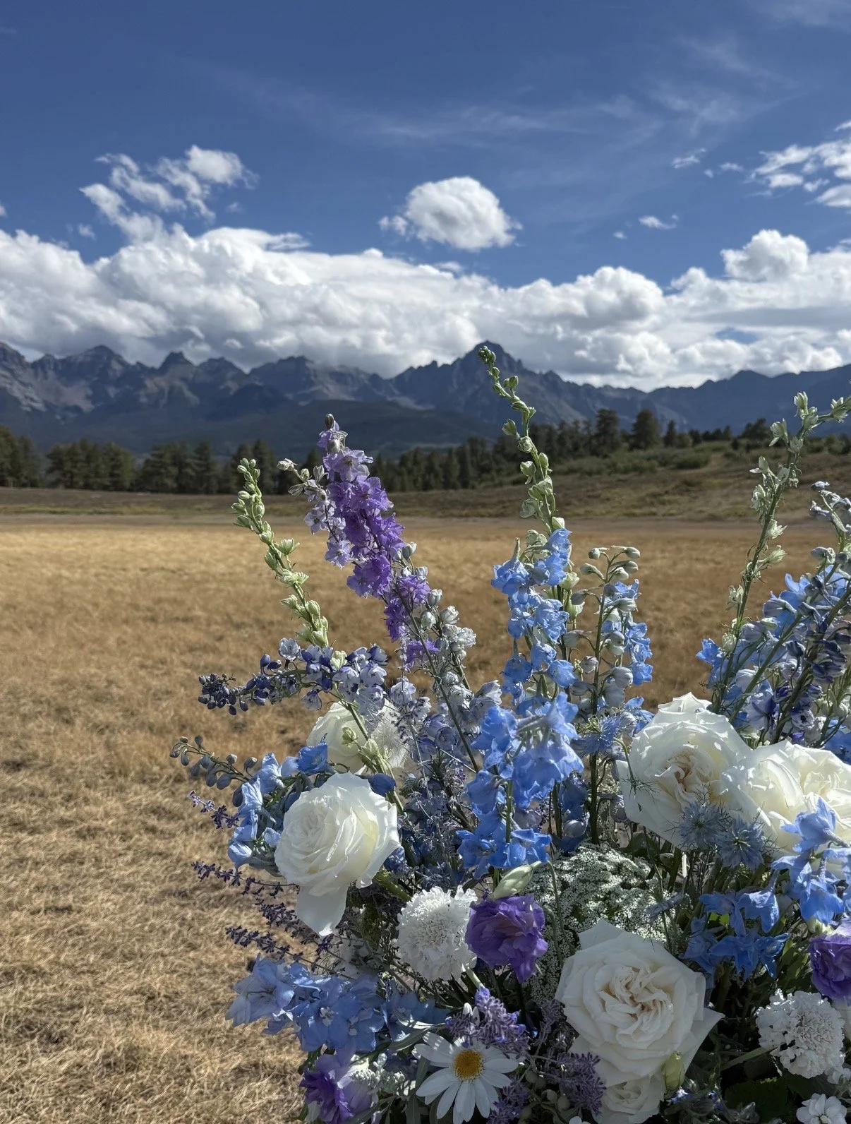 A bouquet of white, blue, and purple flowers in front of an open field with mountains and a blue sky with clouds in the background.