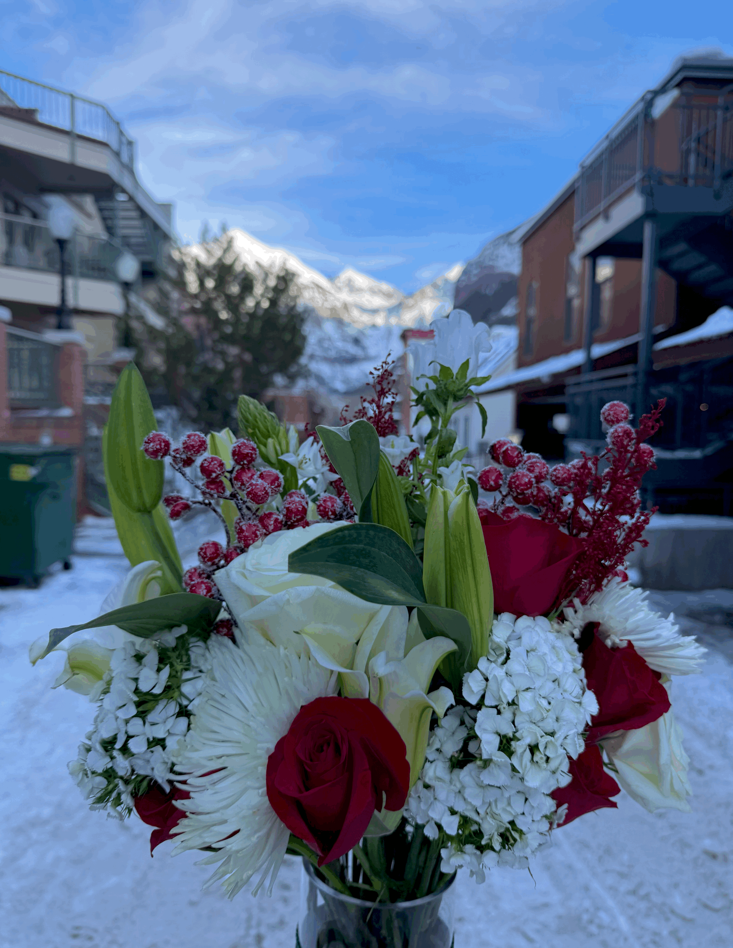 The Season's Best Arrangement