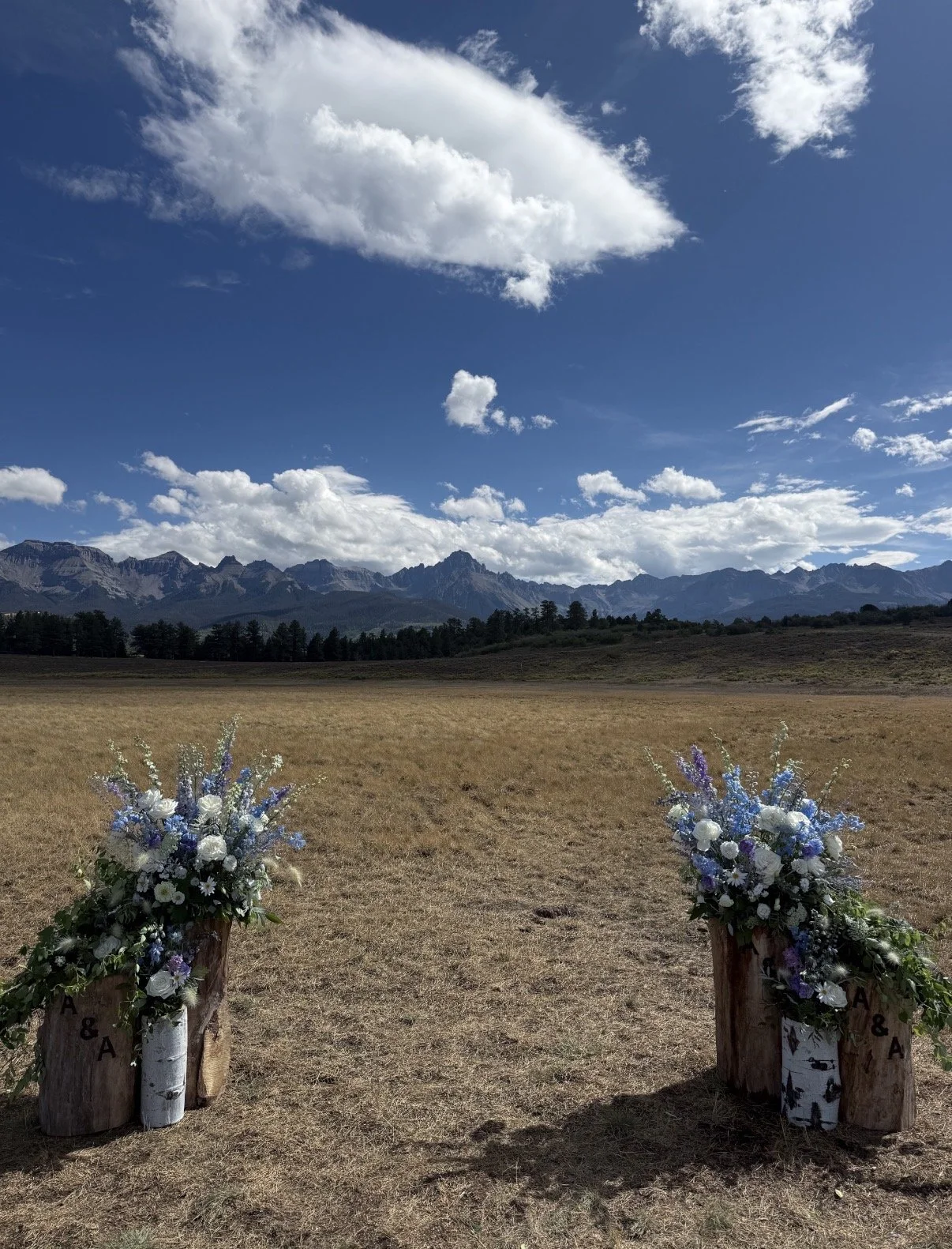Wooden log stands with flower arrangements on either side, set in a field with mountains and partly cloudy sky in the background.