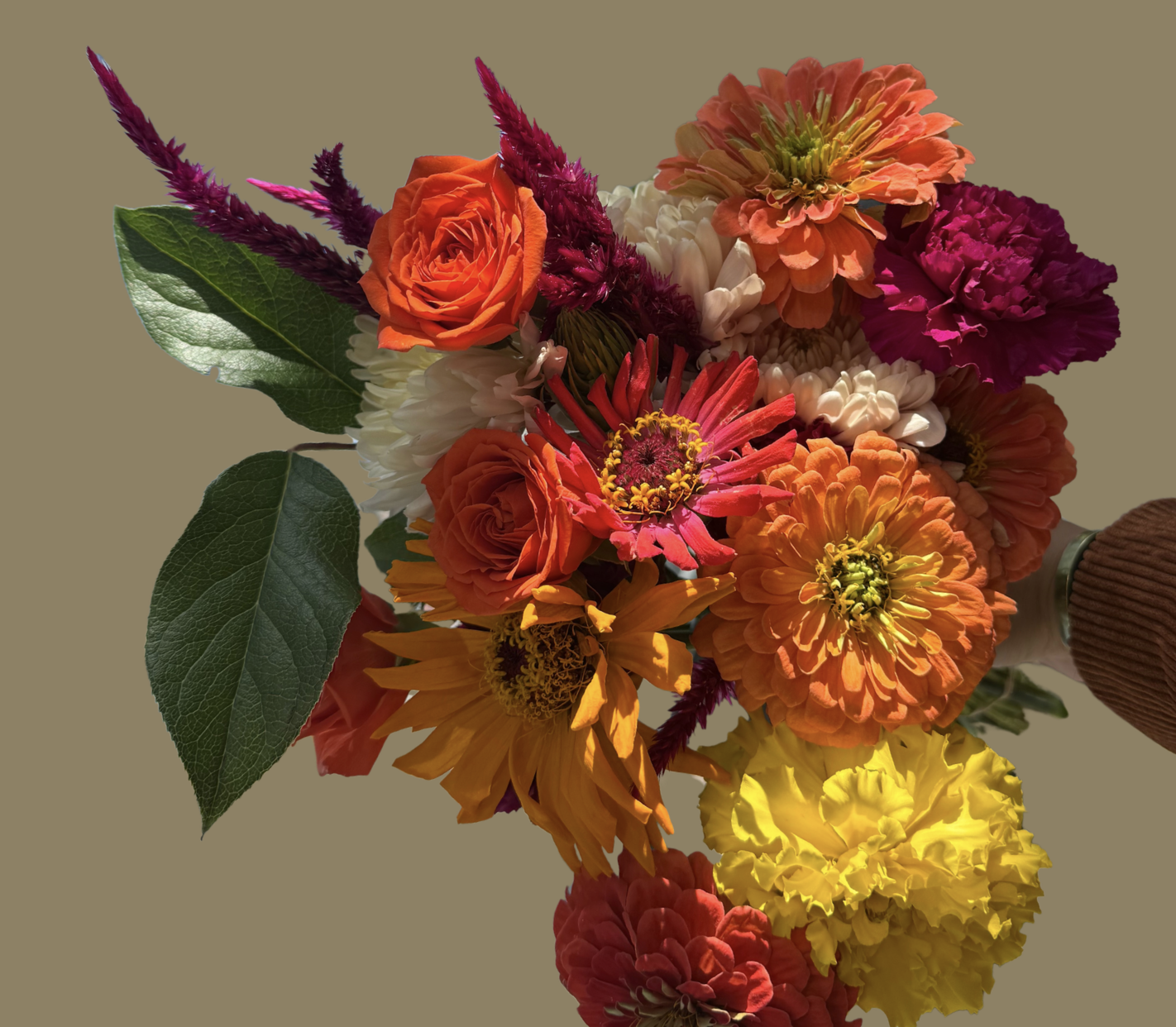 Flower Wraps (No Vase)