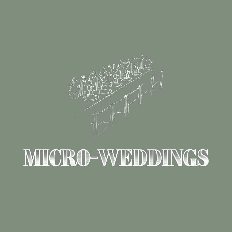 Micro-Wedding Packages for Florals in Telluride, Ouray, Ridgway.
