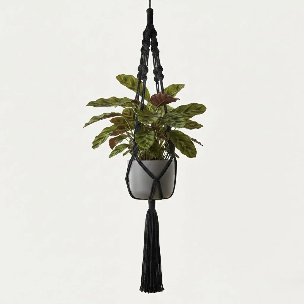 Hanging Macrame Planter - Black