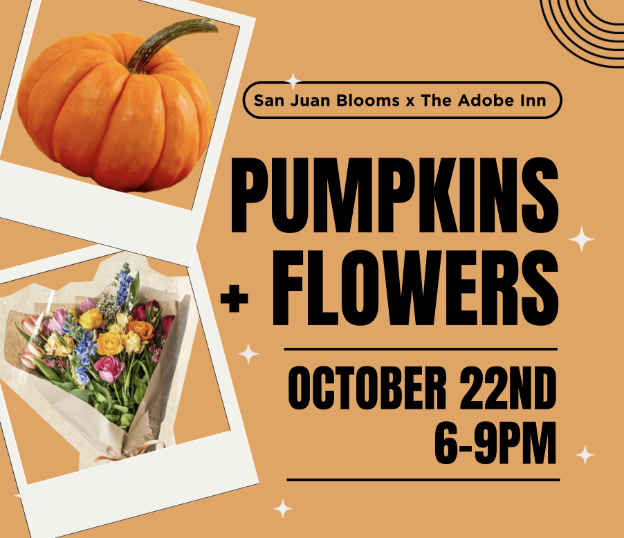 October Workshop | Pumpkins + Flowers at The Adobe Inn