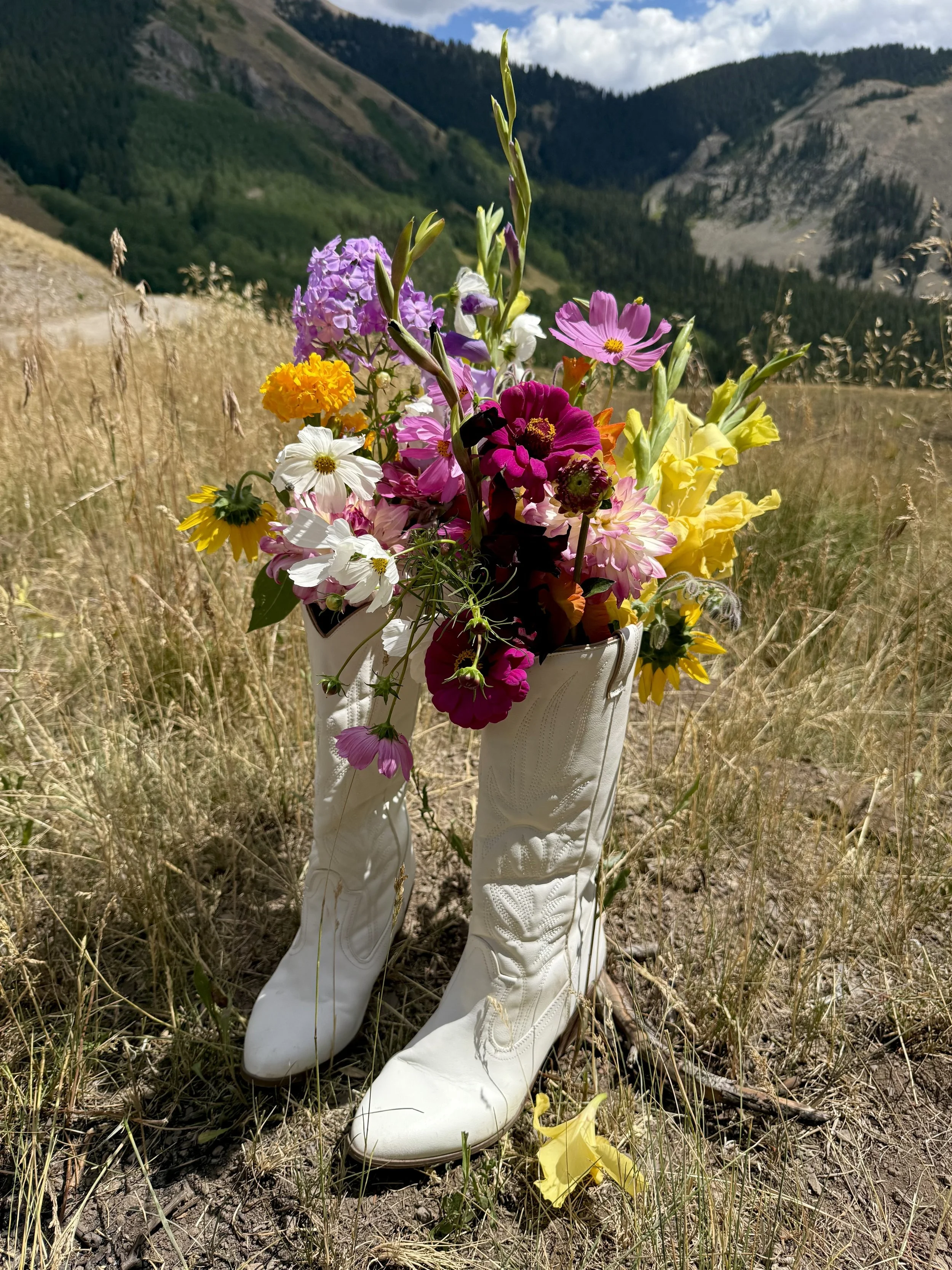 Flower Delivery in Telluride, Ridgway, Ouray, Colorado.