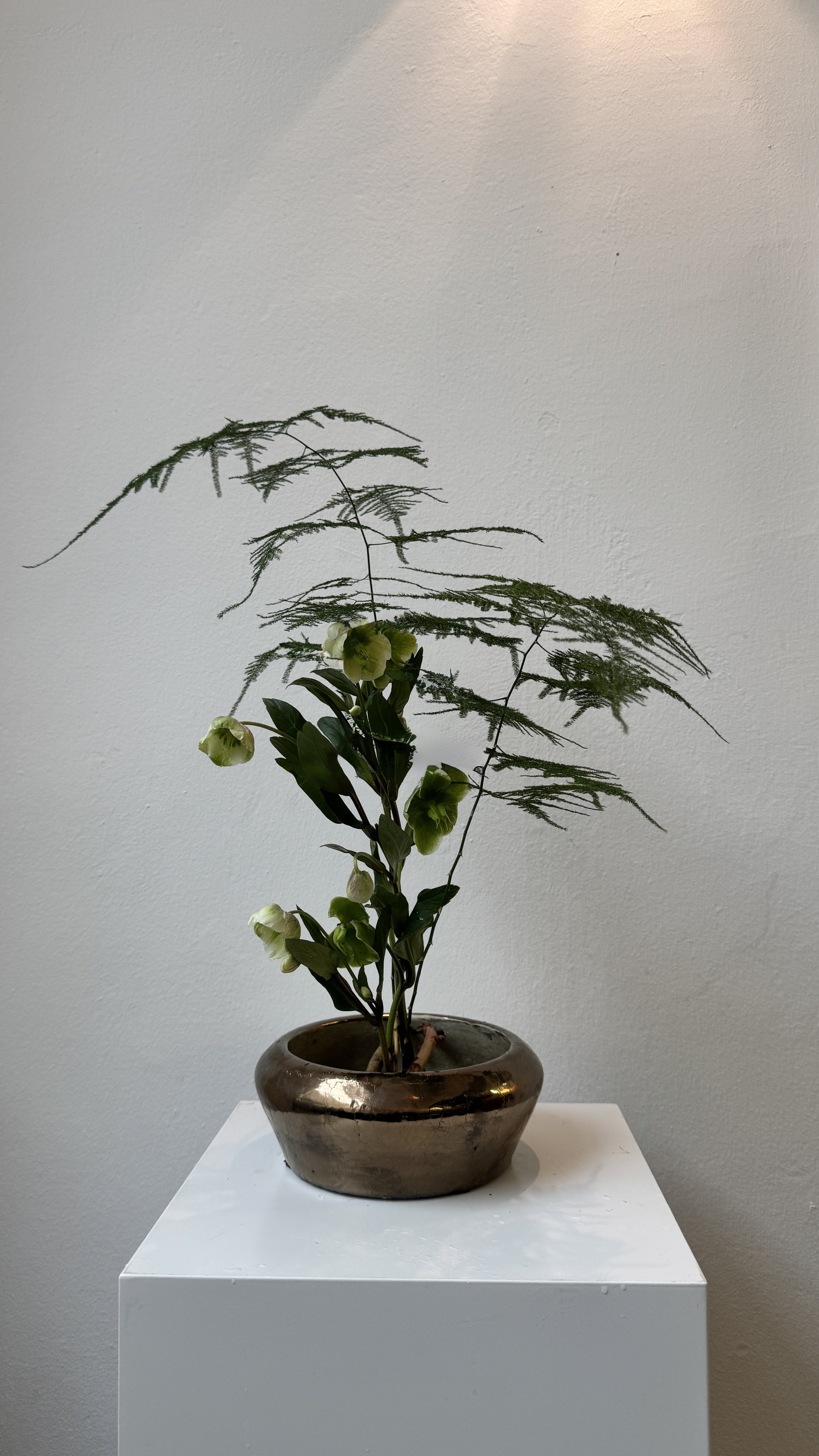 Workshop // Ikebana Freestyle 