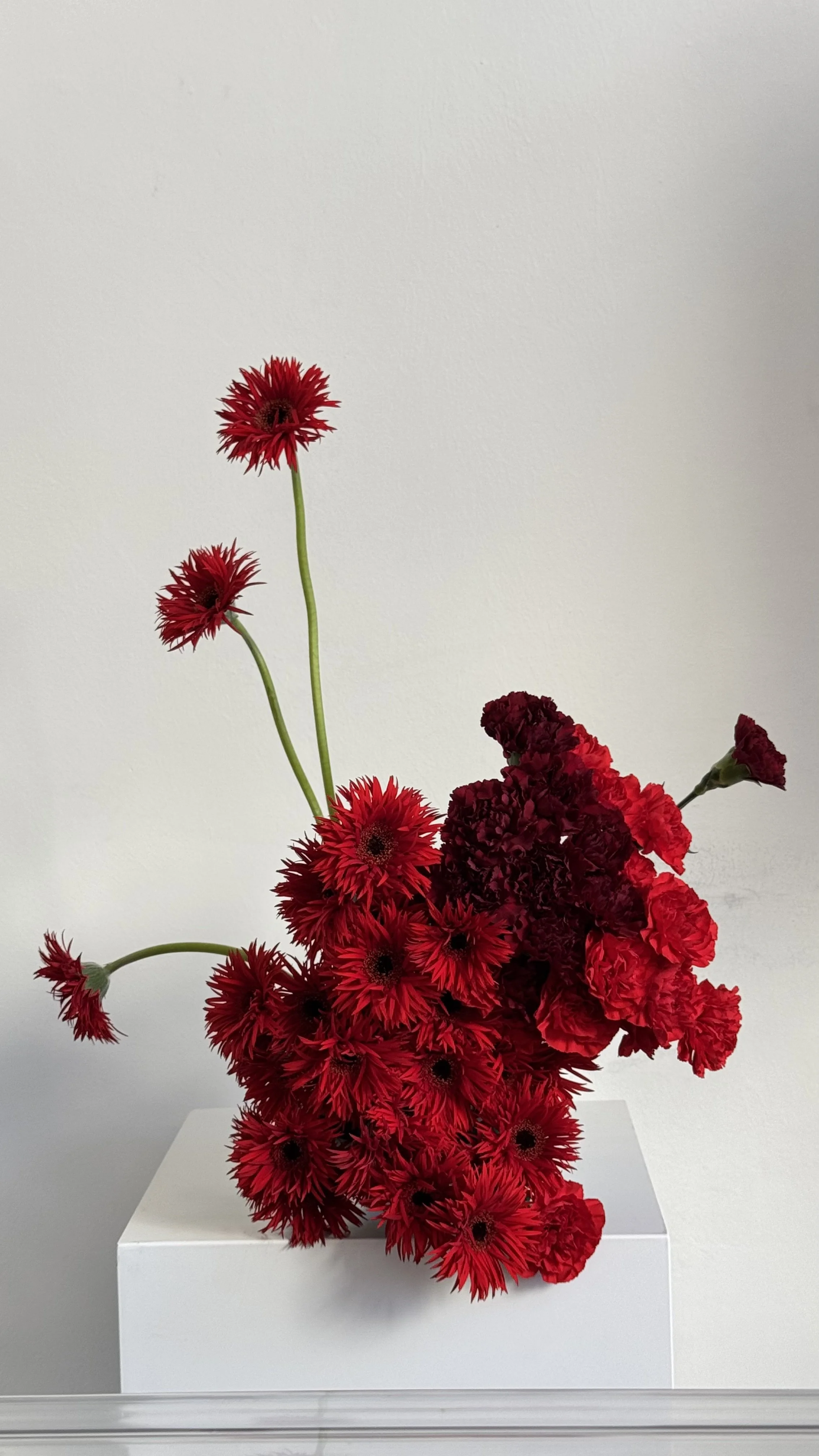 IMG_2203.jpeg